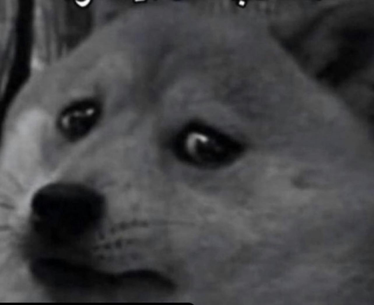 user avatar image for Abdulaziz