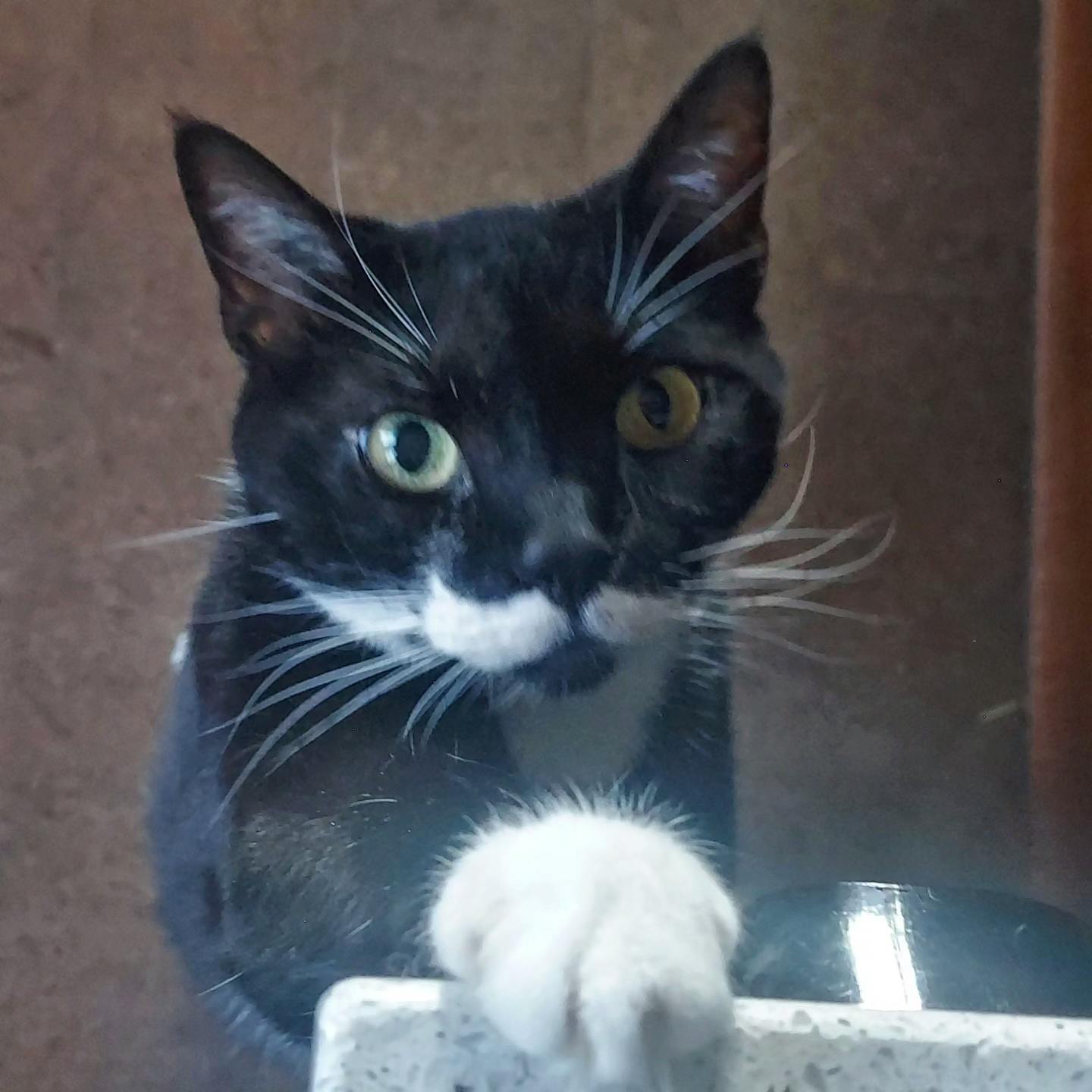 user avatar image for Jane Sprang