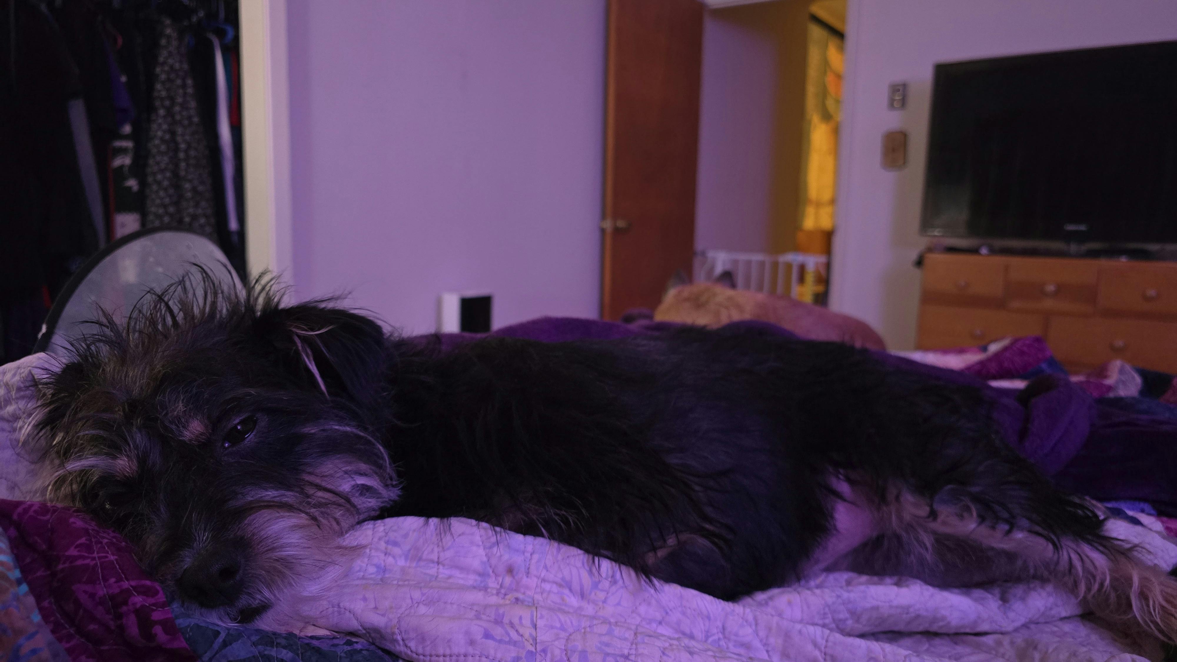 user avatar image for Michael Ruff