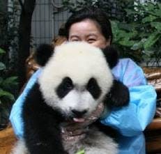 user avatar image for koalathebear