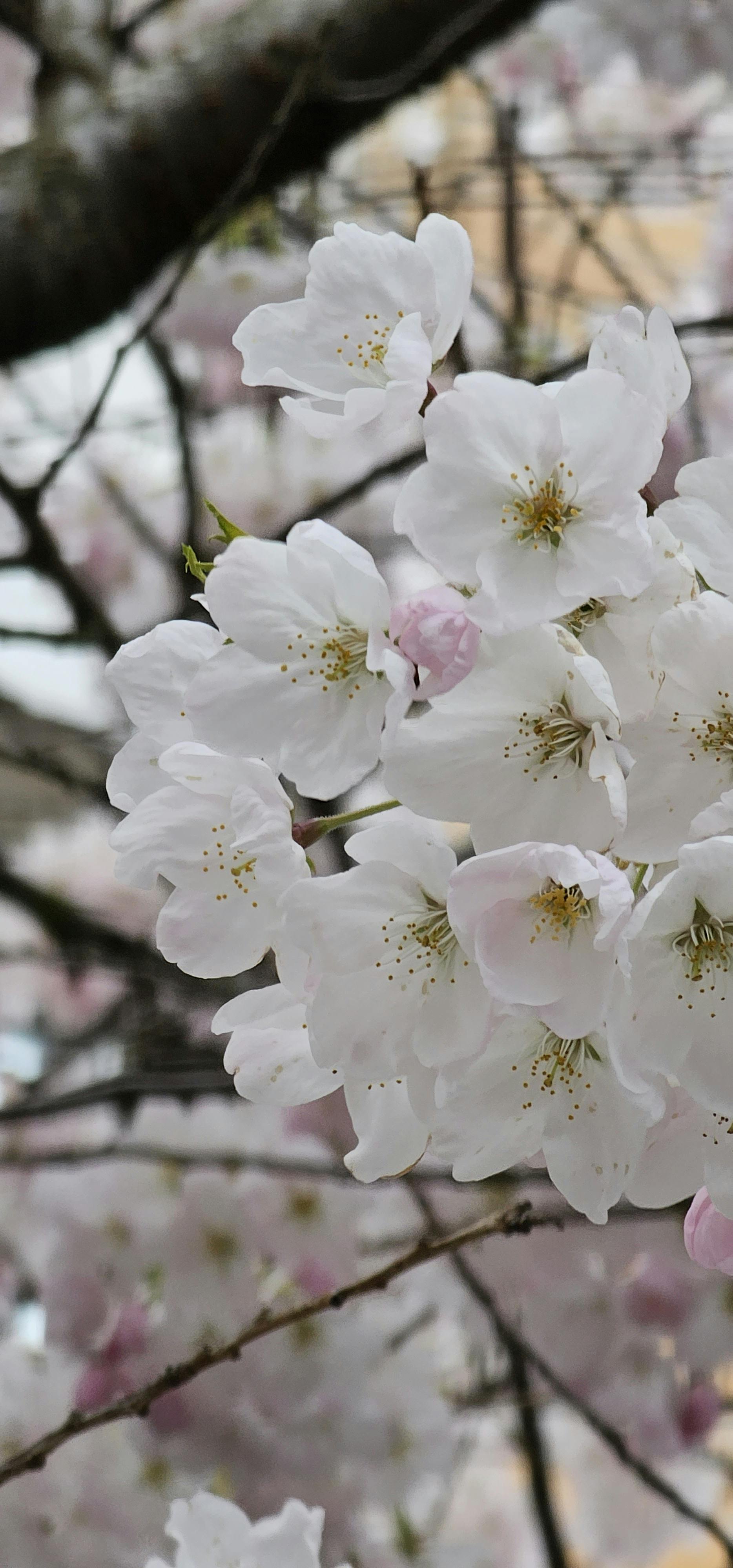 user avatar image for Nikki K