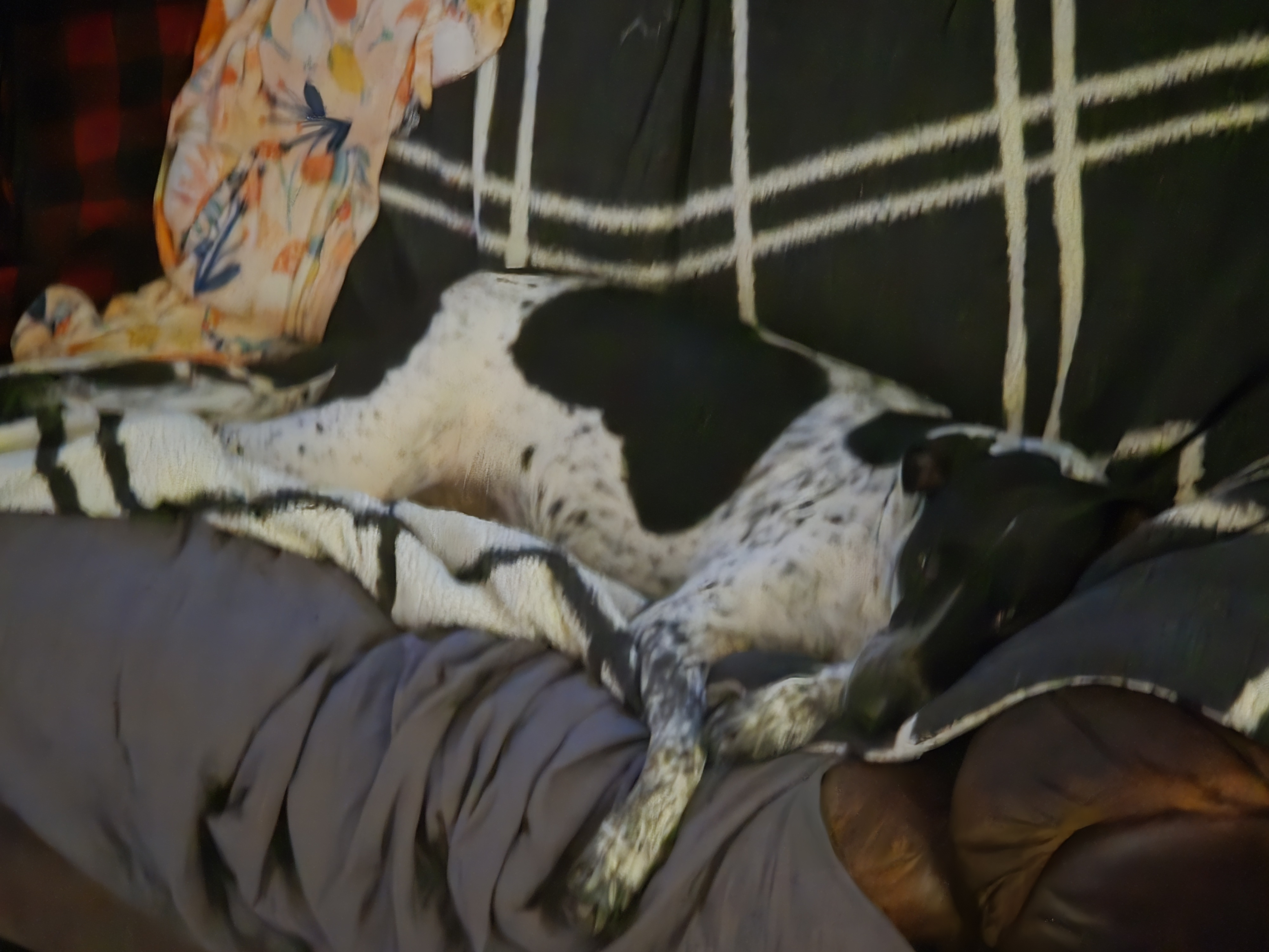 user avatar image for Nicole Bastian 