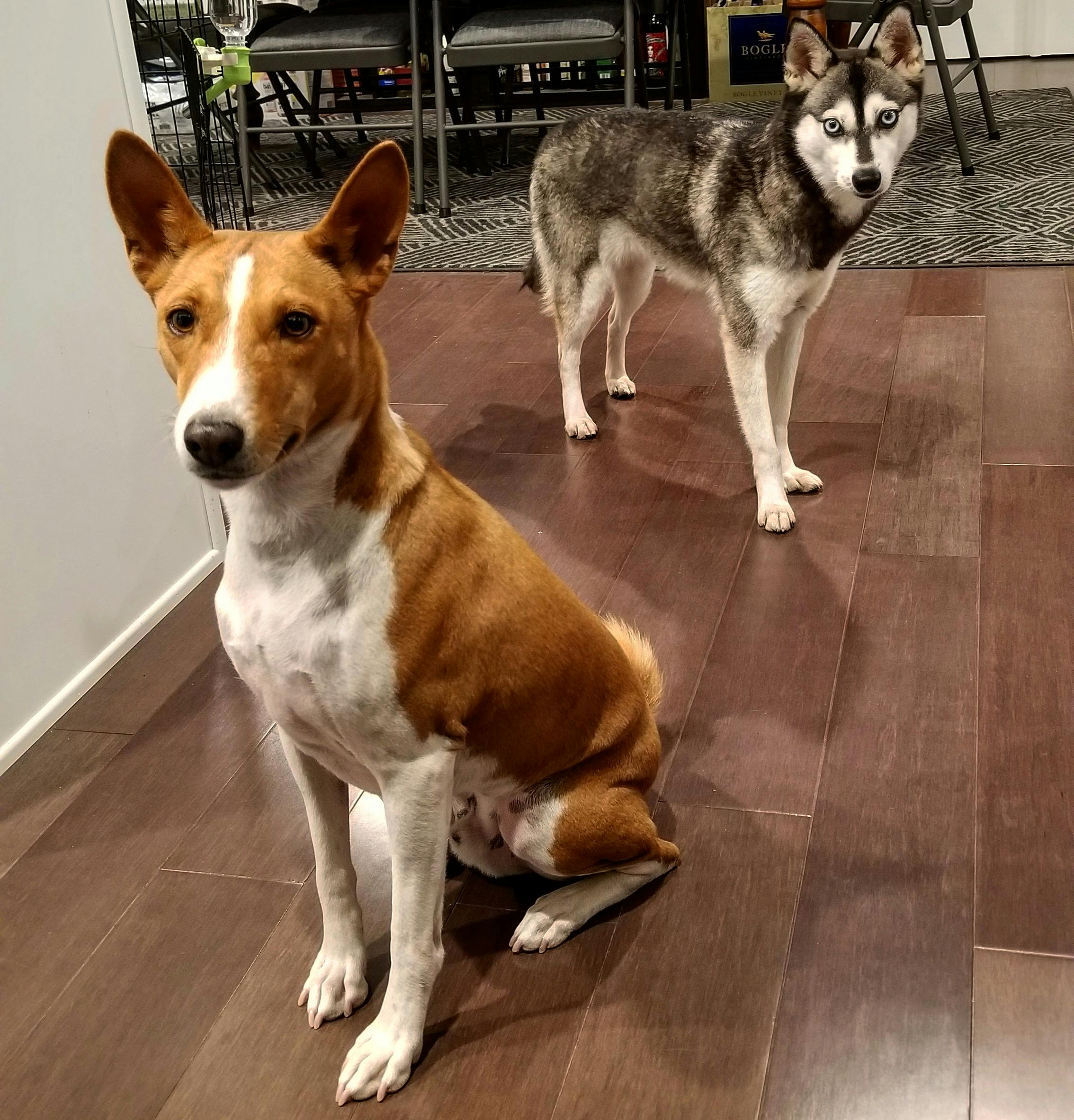 user avatar image for Courtney