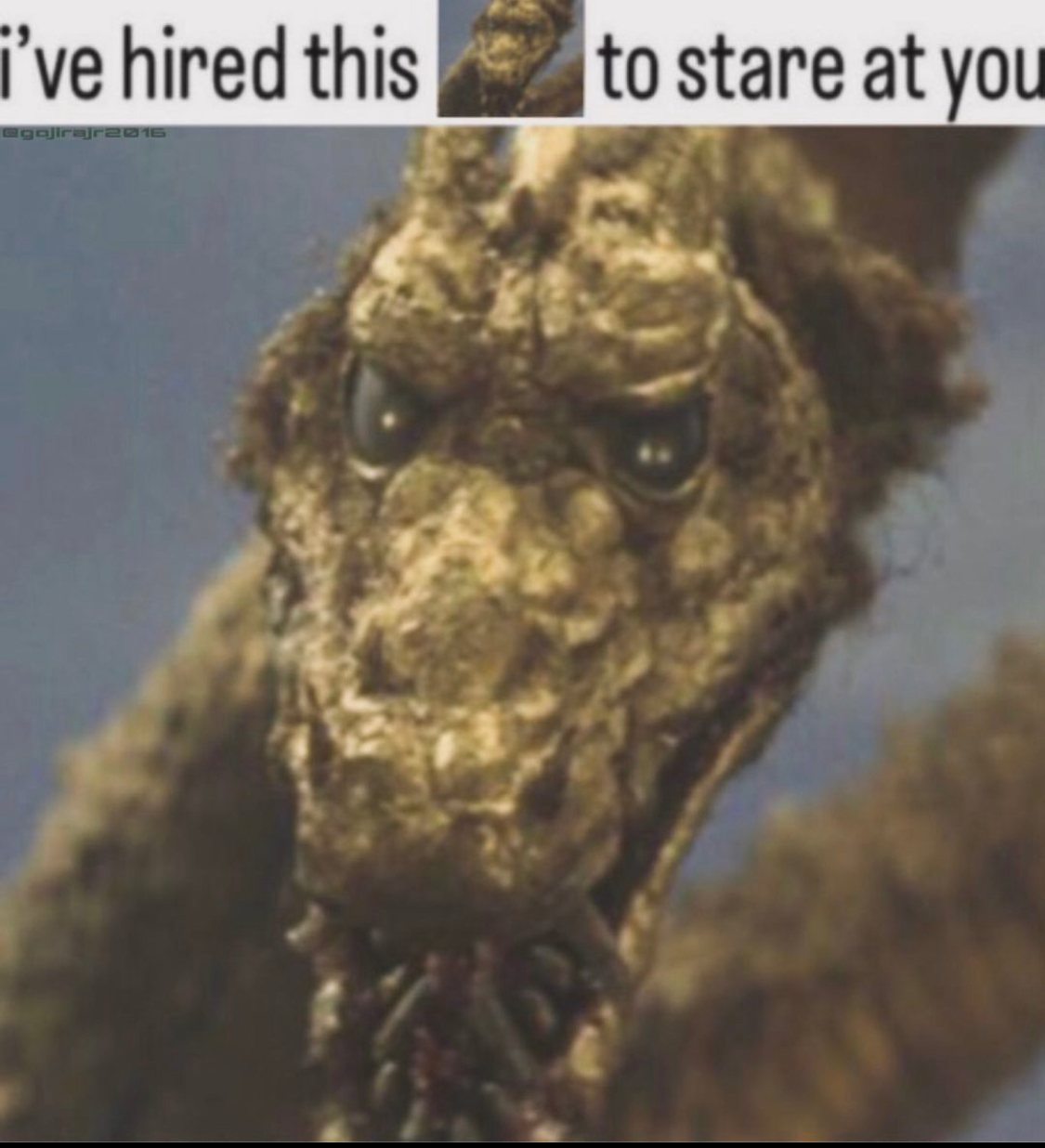 user avatar image for Alister F