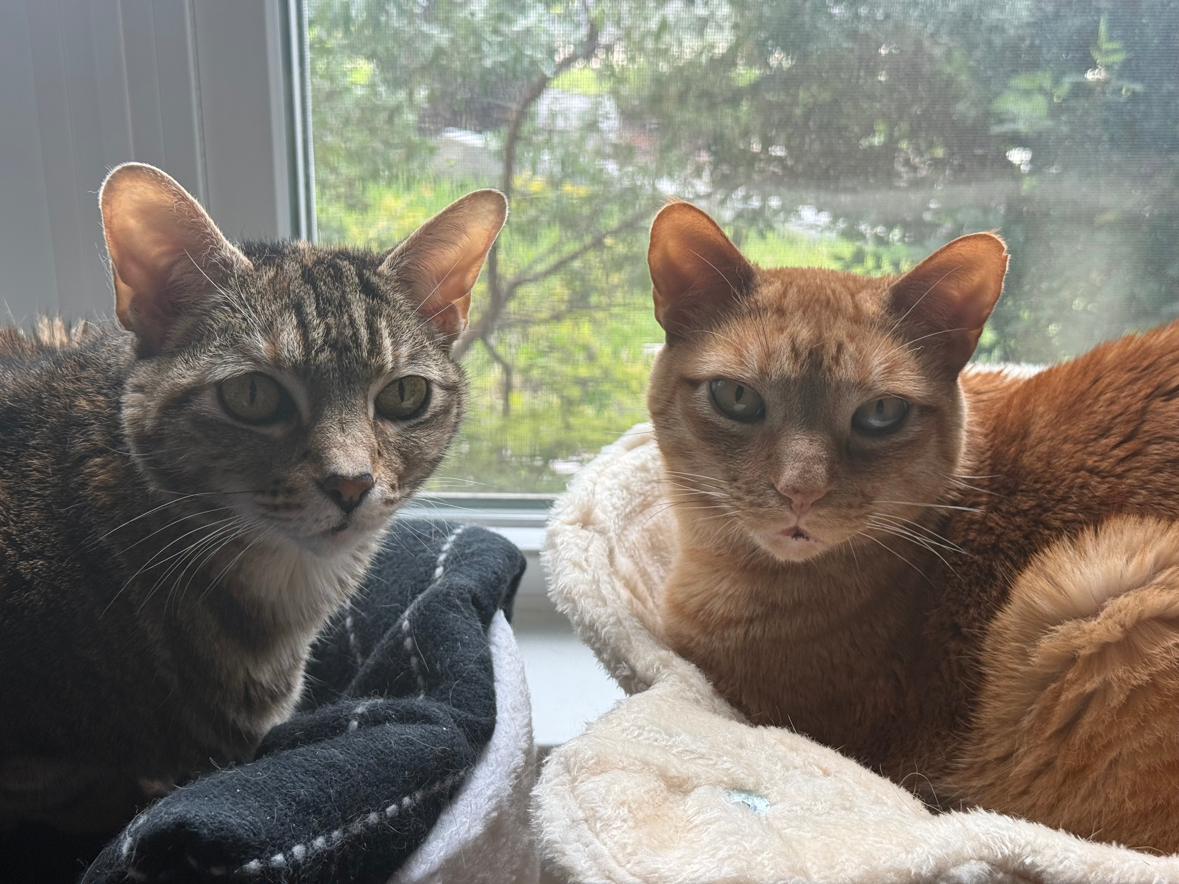 user avatar image for Chrisbyte