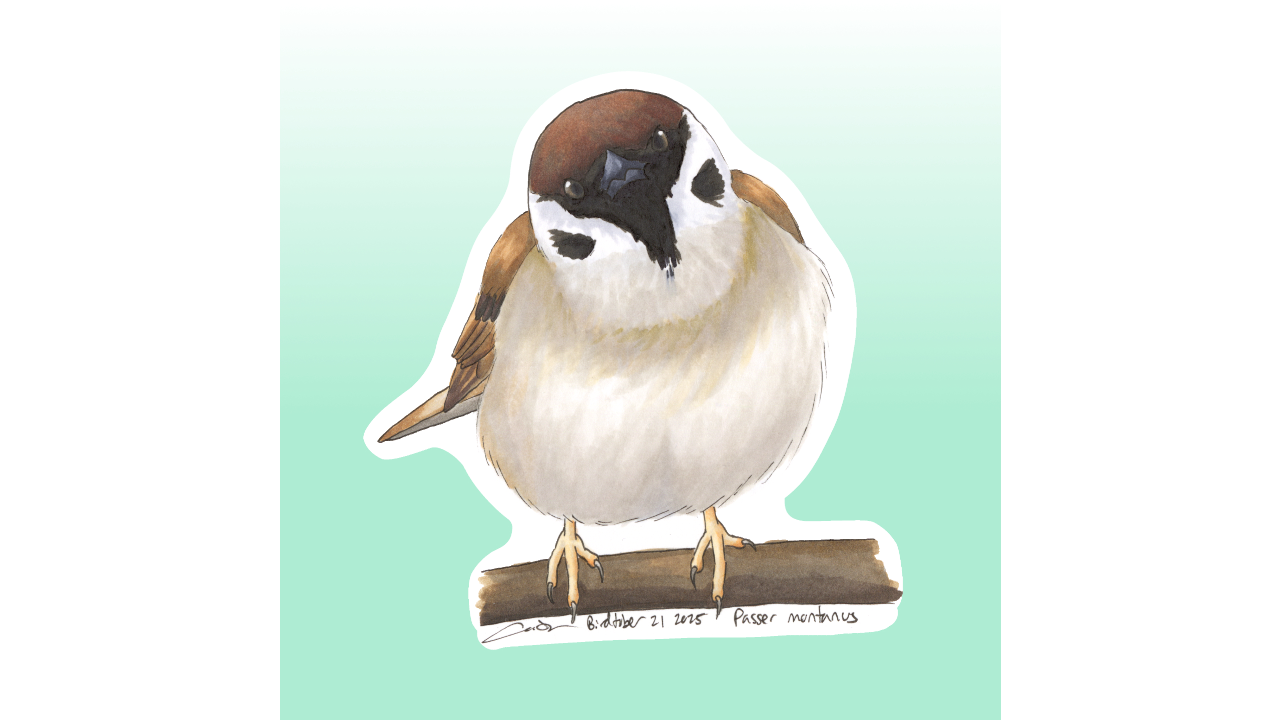 Eurasian Tree Sparrow Sticker Design