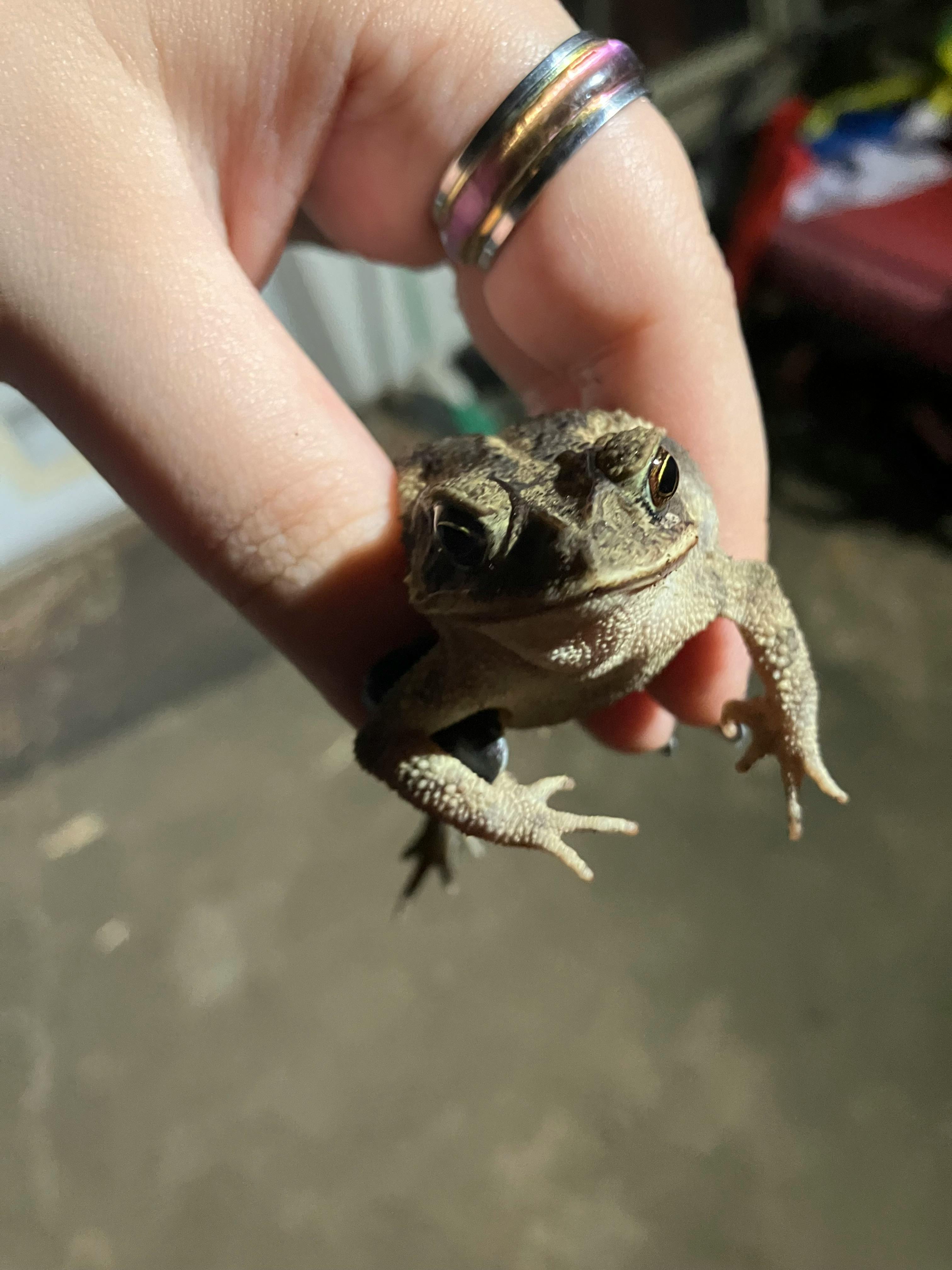 user avatar image for Taylor