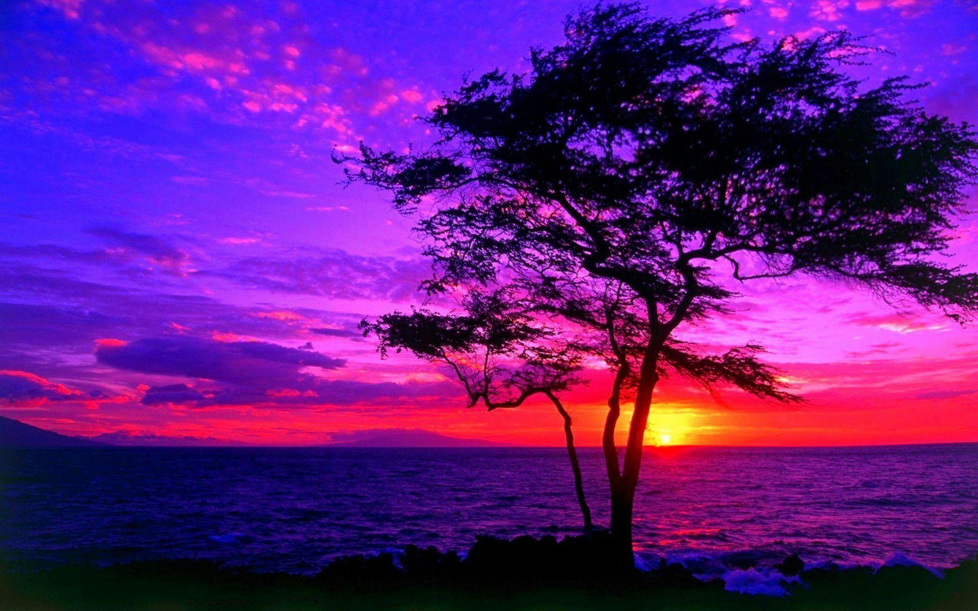 user avatar image for Hilo