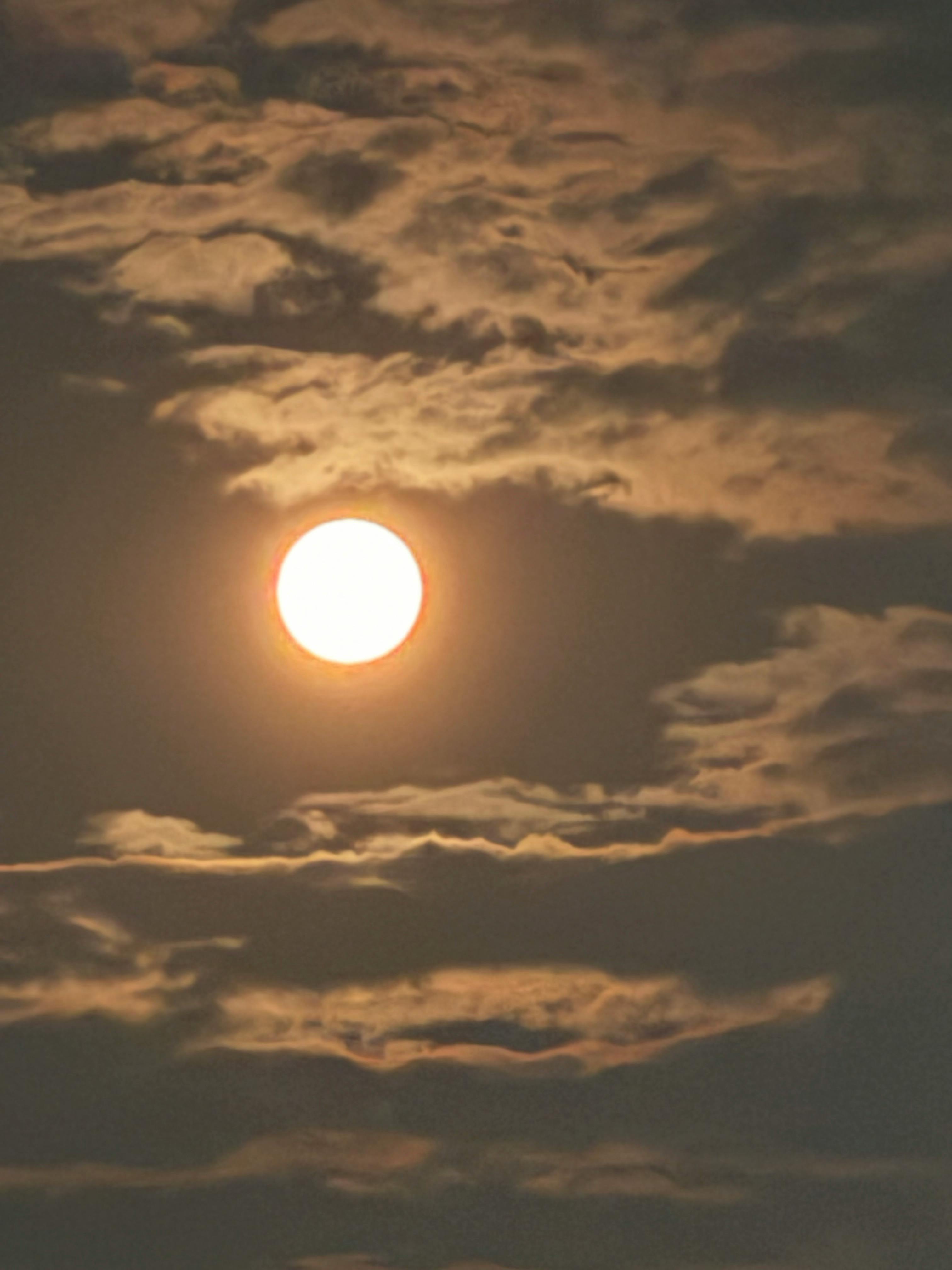 user avatar image for Gryffyn