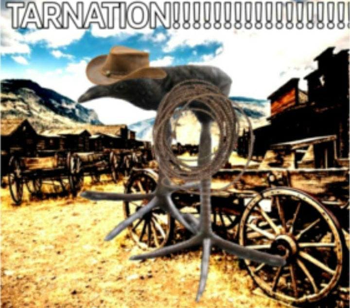 user avatar image for Dany S.