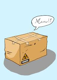 user avatar image for SchroedingersCat