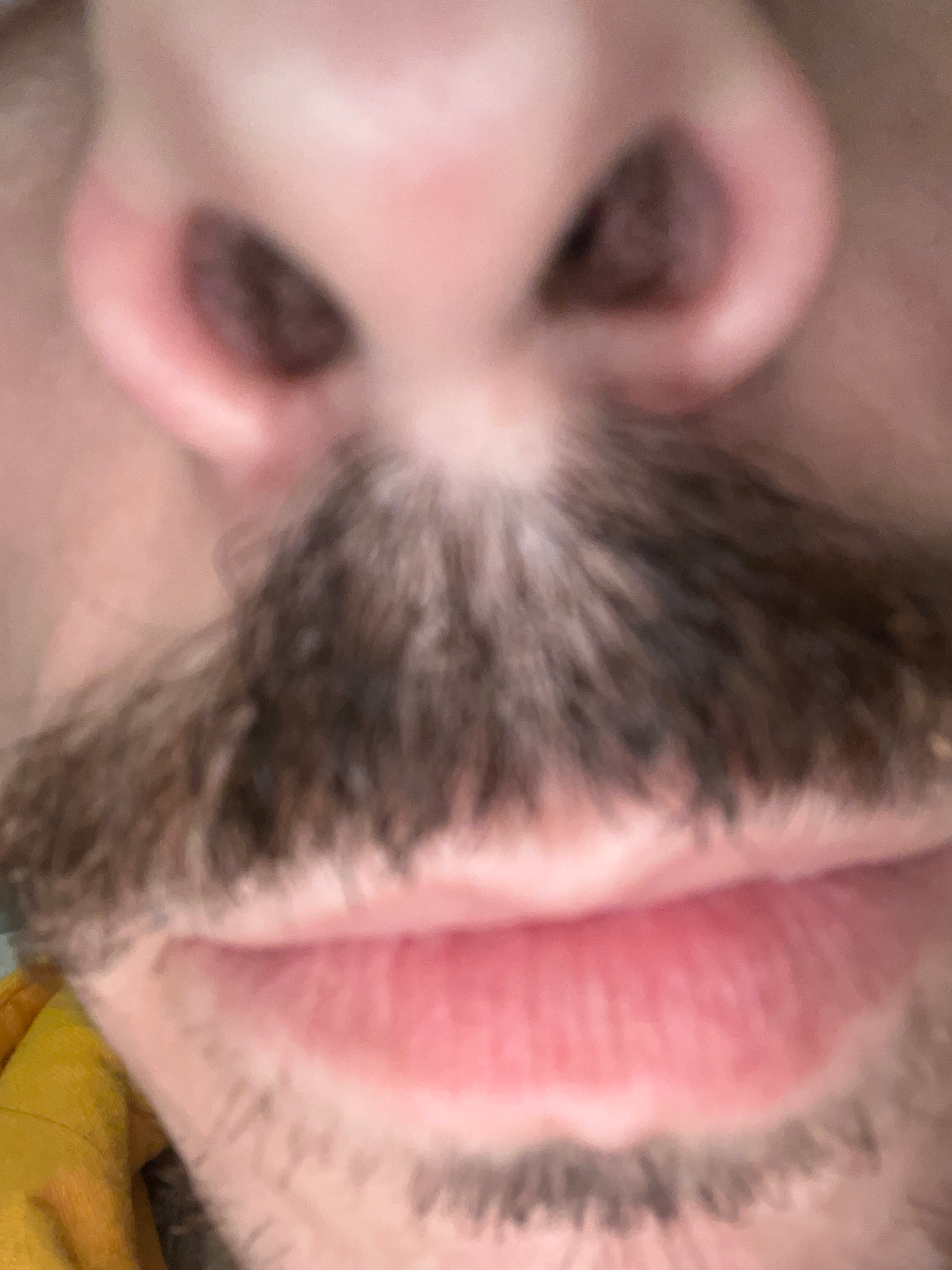 user avatar image for Ryan Girard