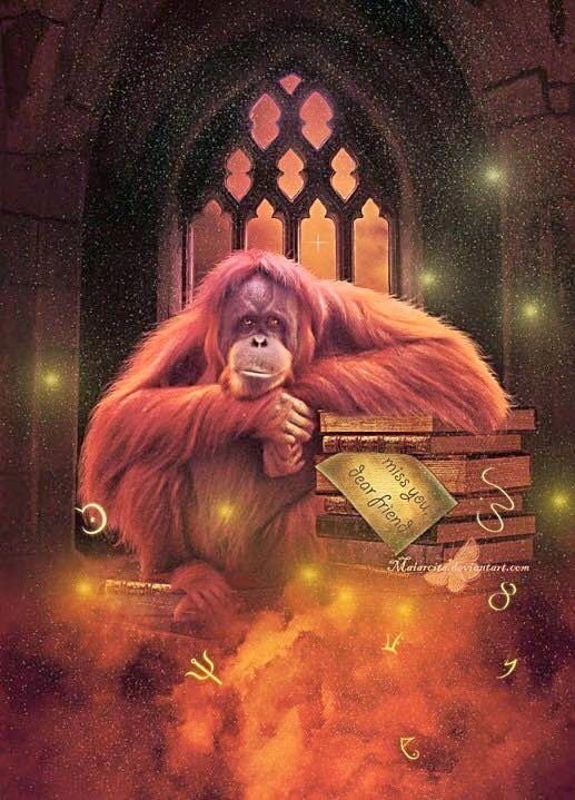 user avatar image for PD