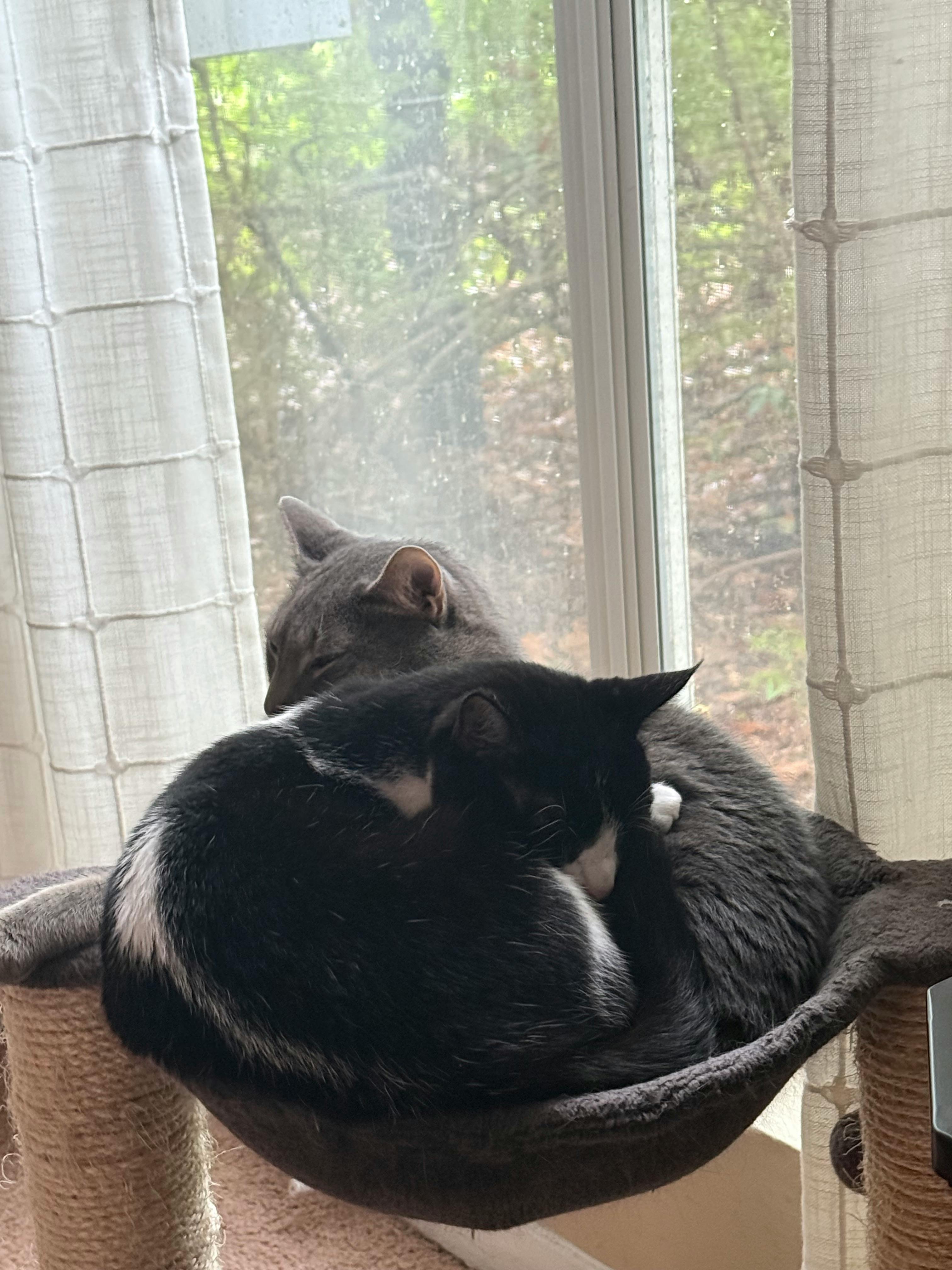 user avatar image for Christina Stanton