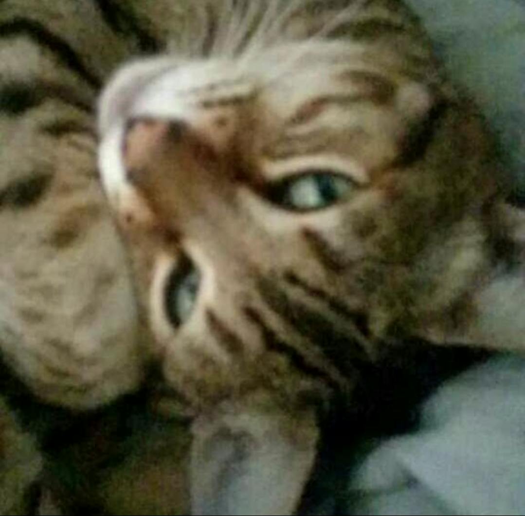 user avatar image for DetectiveC