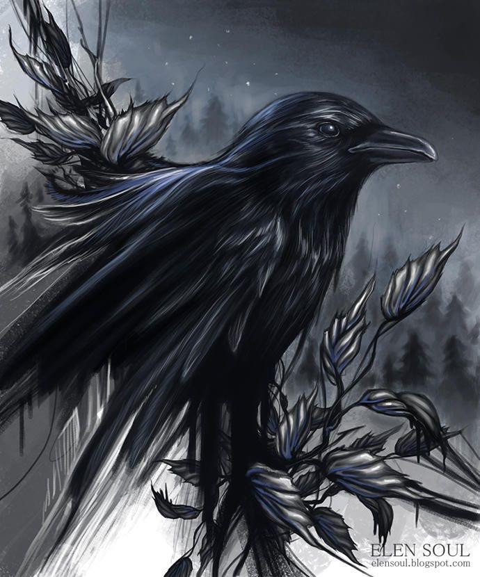 user avatar image for MJ Raven