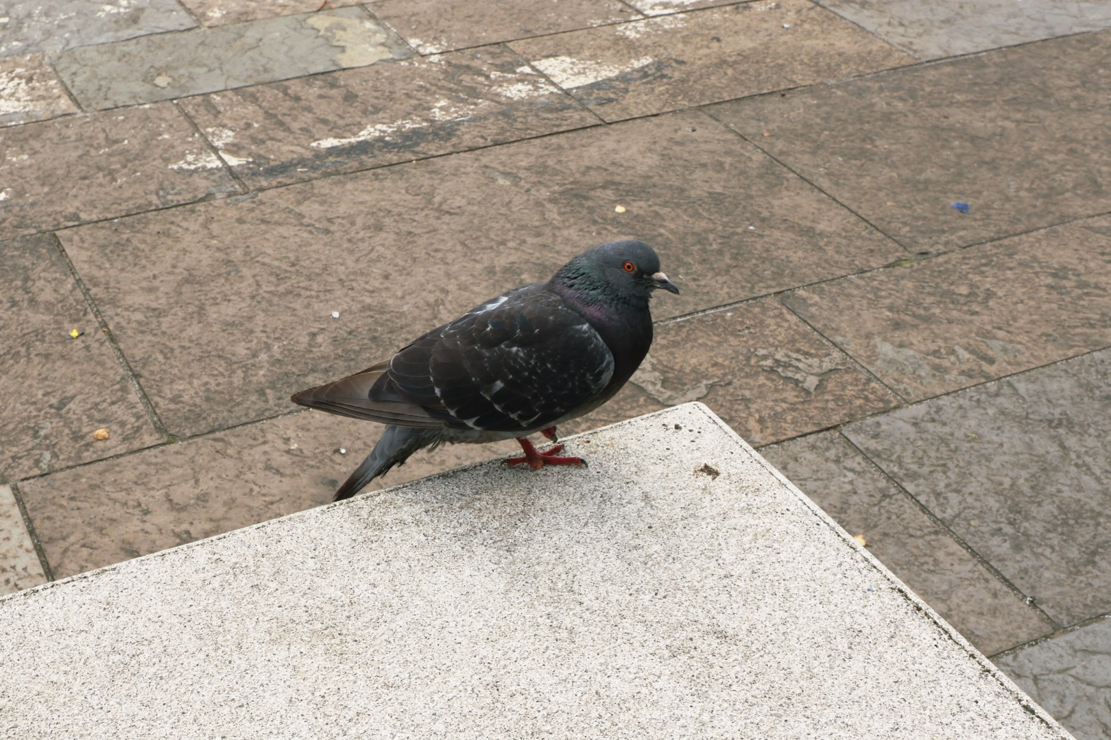 user avatar image for charles