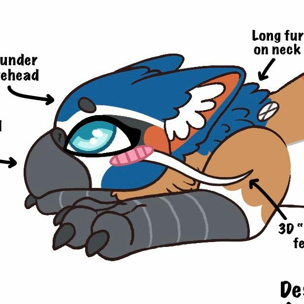 Whiskered Treeswift Red Fox