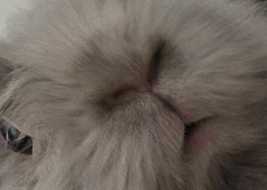 user avatar image for Cassandra