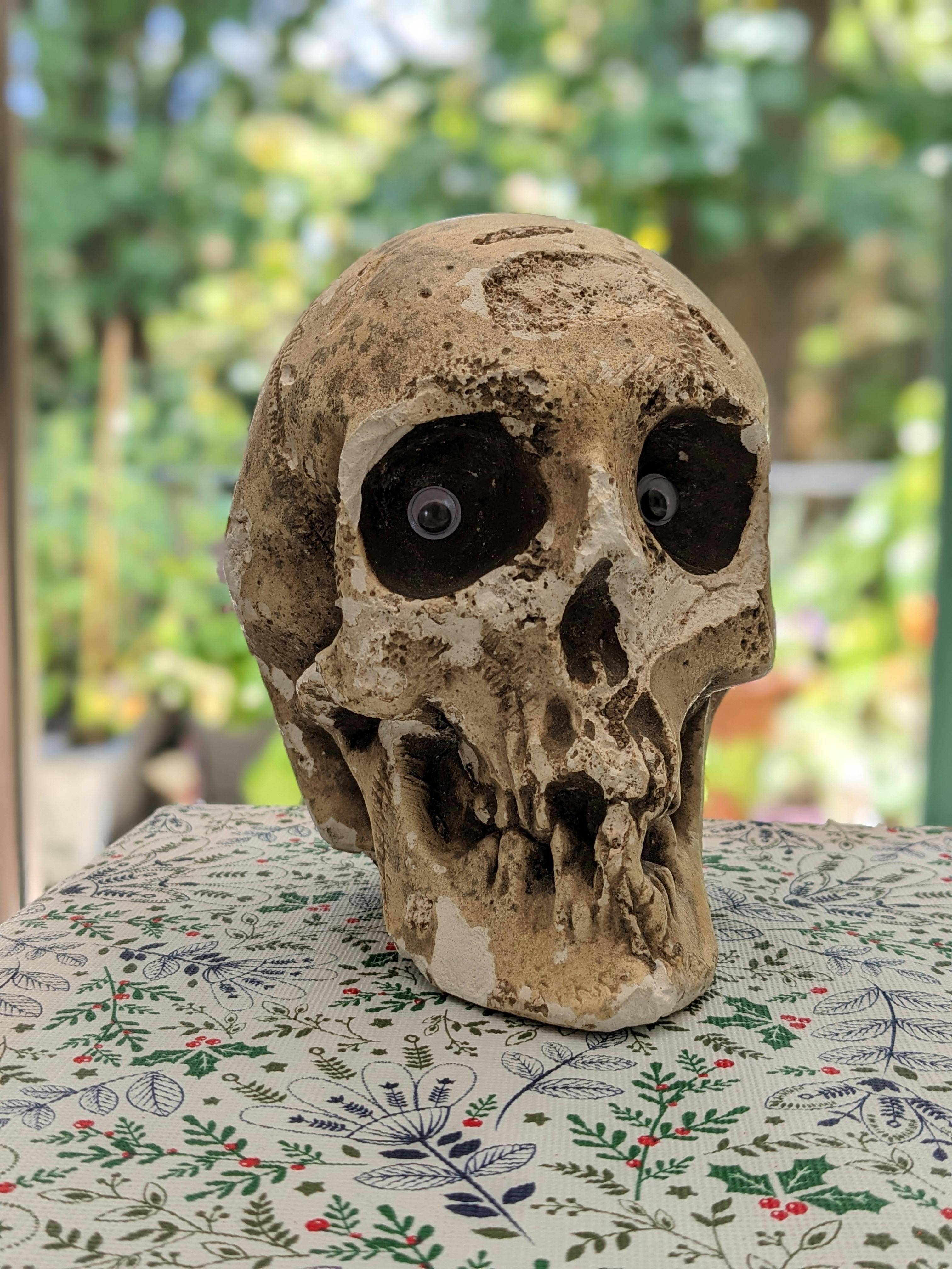 user avatar image for Martin