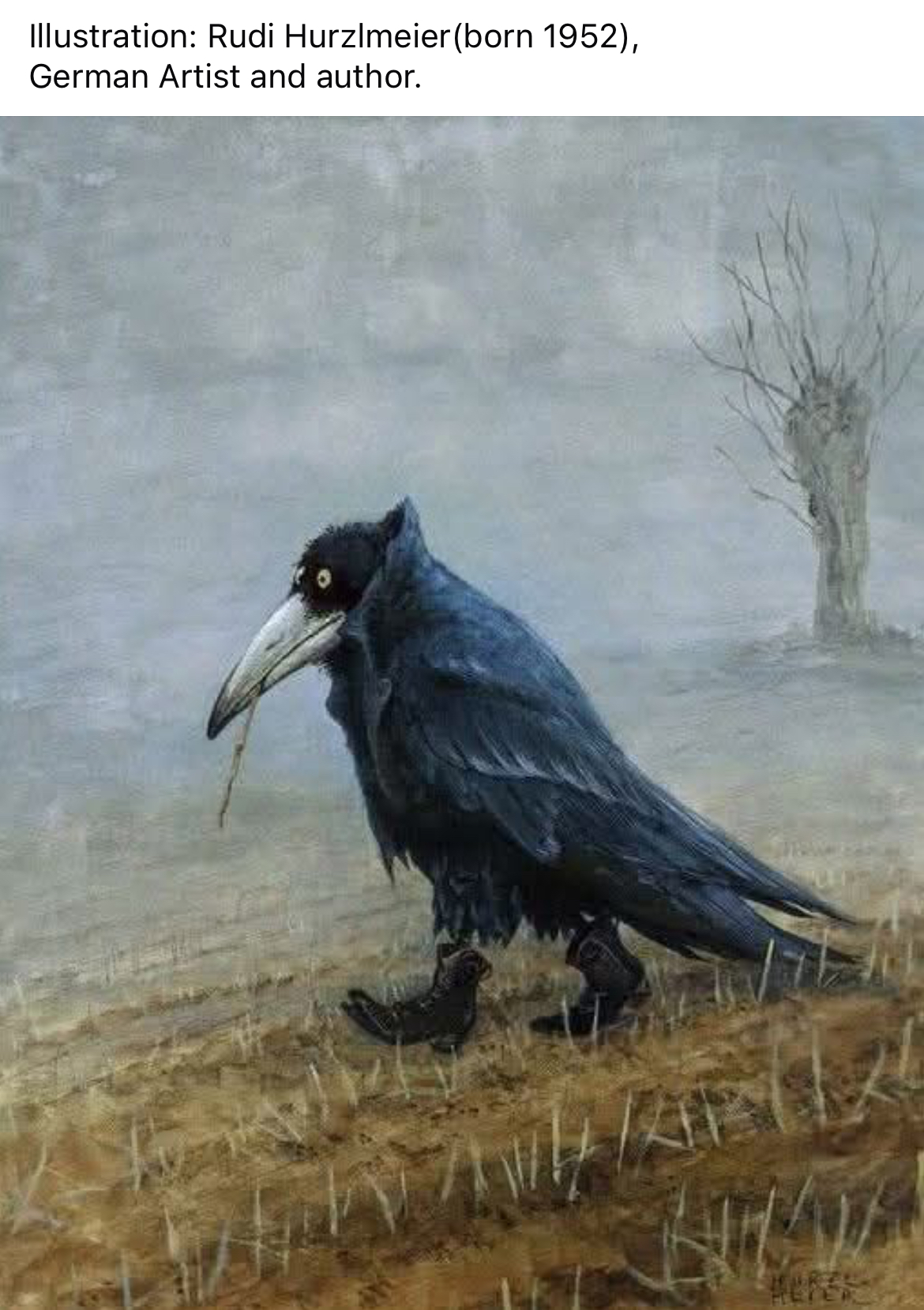 user avatar image for Jonathan C