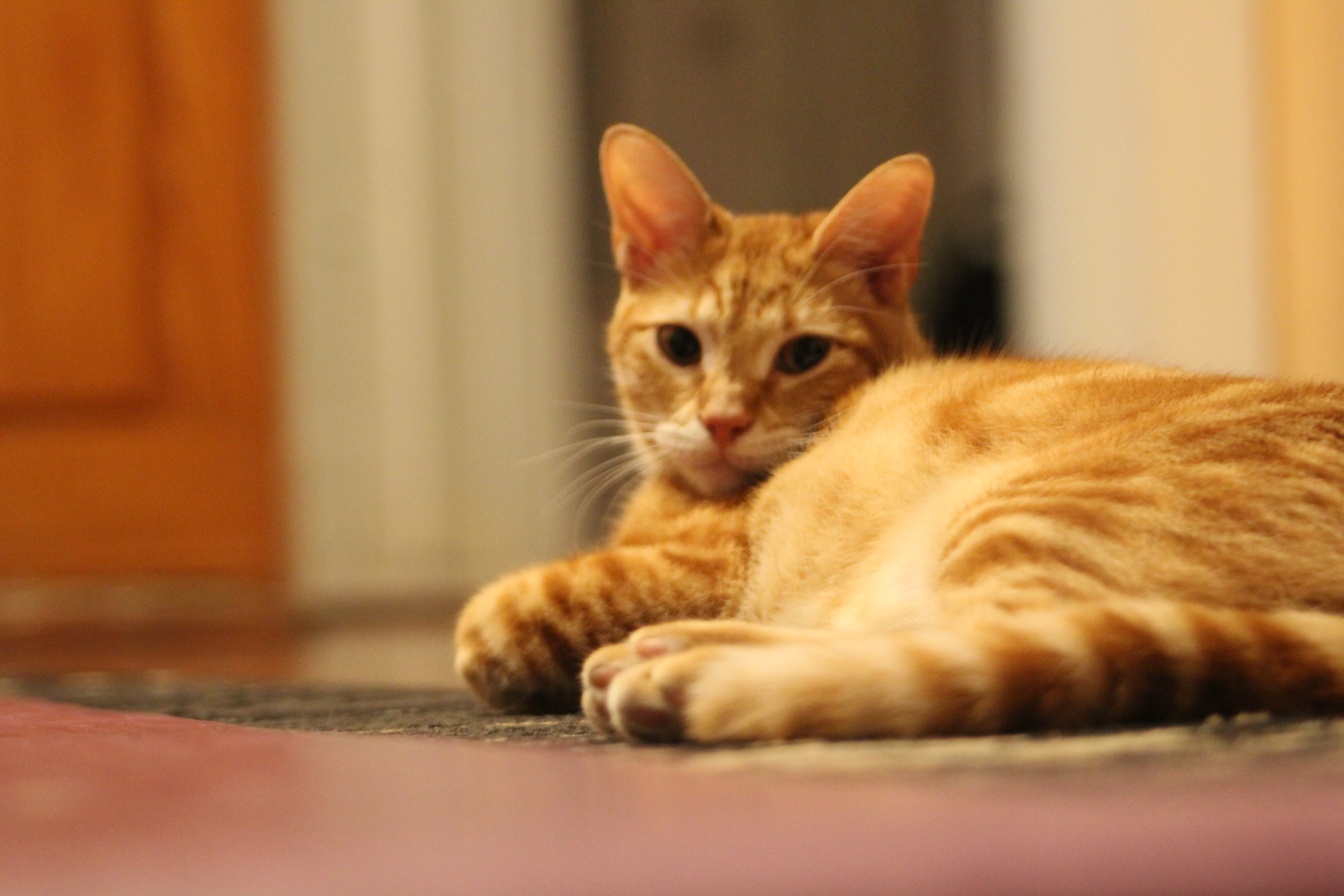 user avatar image for Nate 