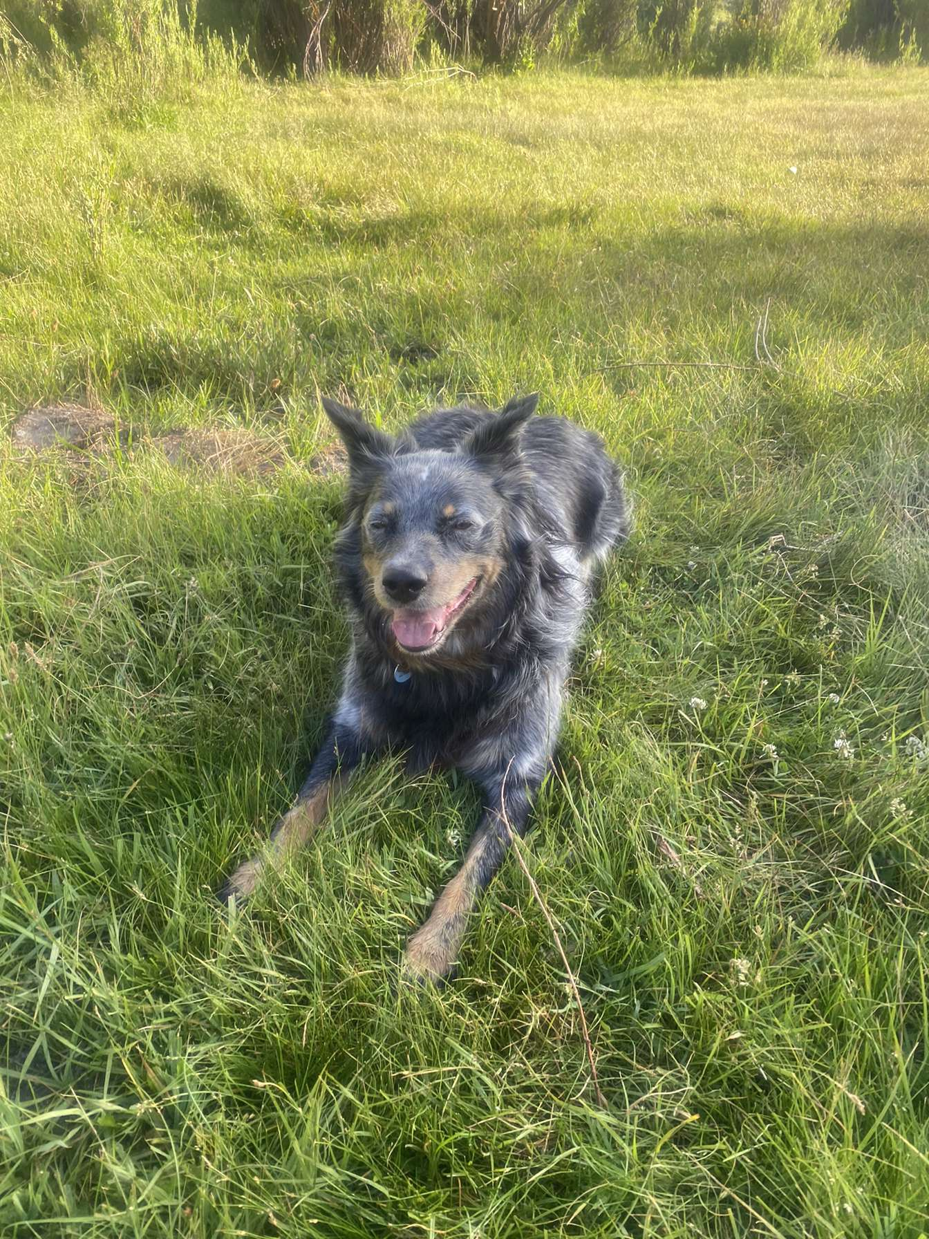 user avatar image for Crowebar