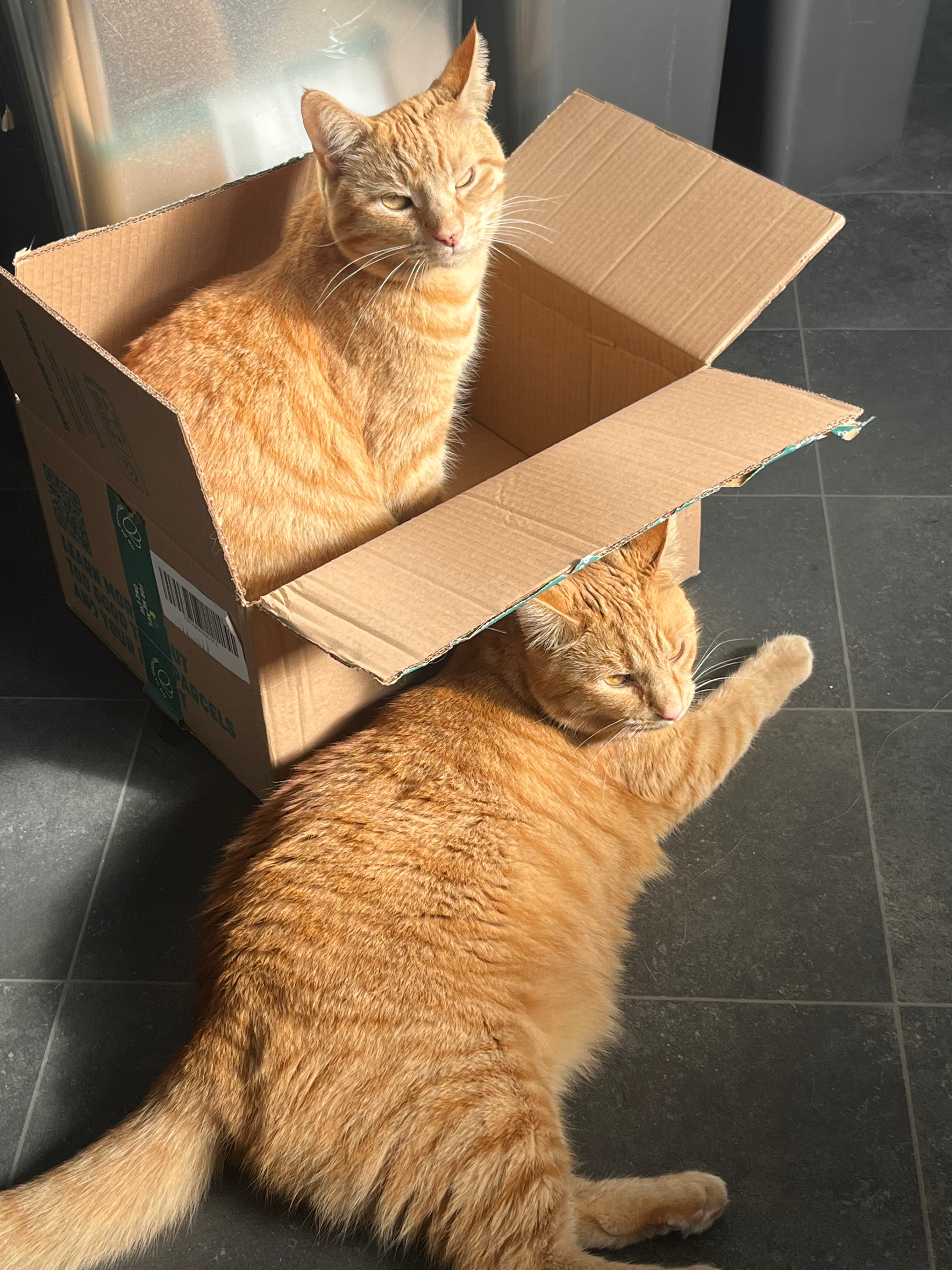 user avatar image for India Fuller