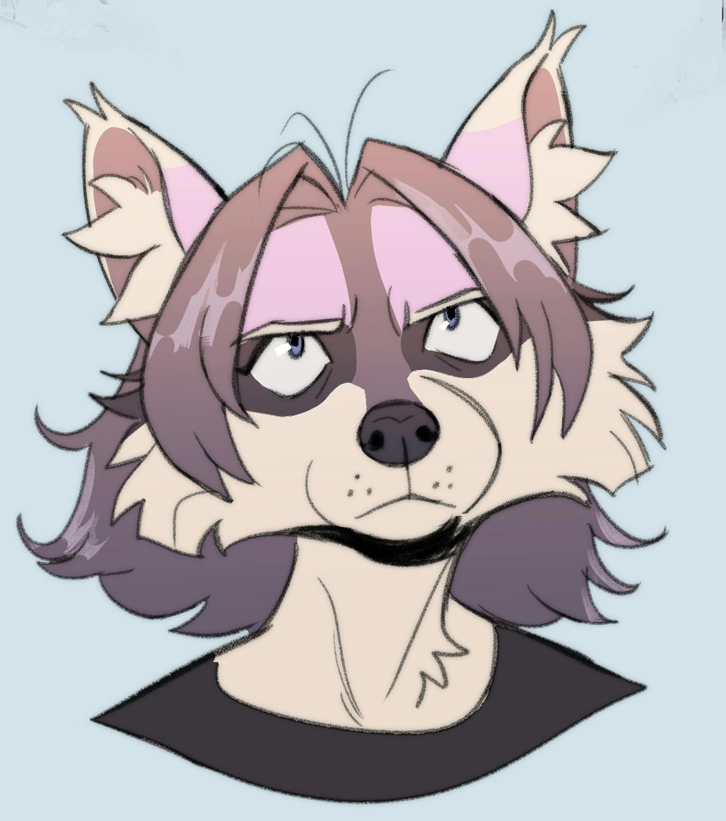 user avatar image for a cunning raccoon
