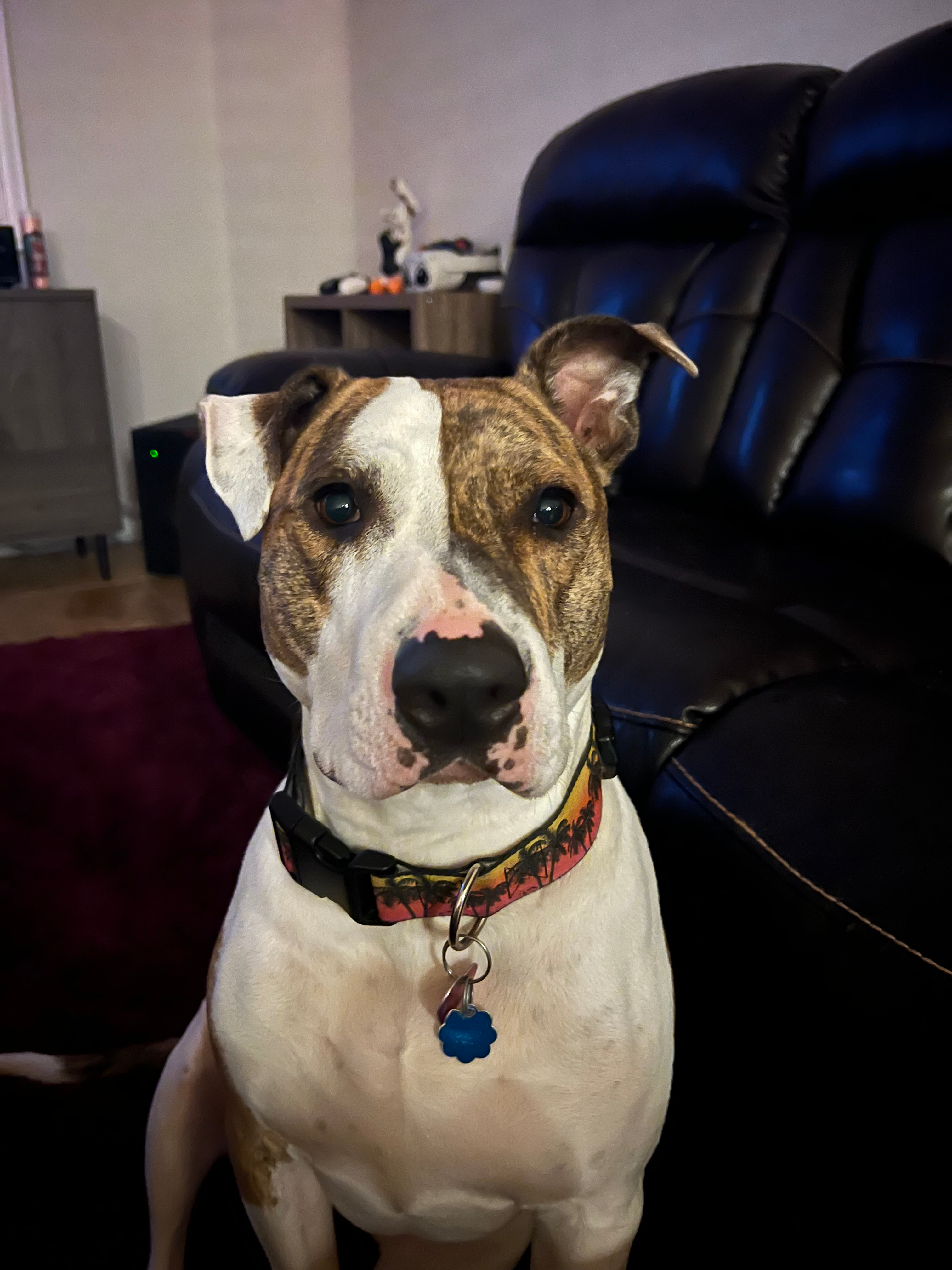 user avatar image for Shell