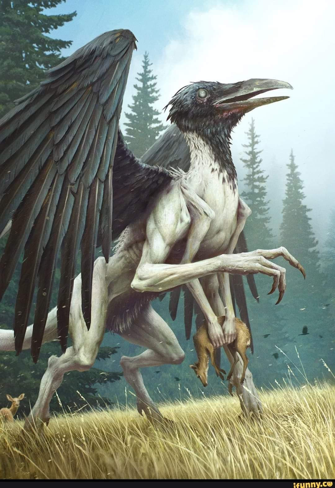 user avatar image for Keifer Wardrop