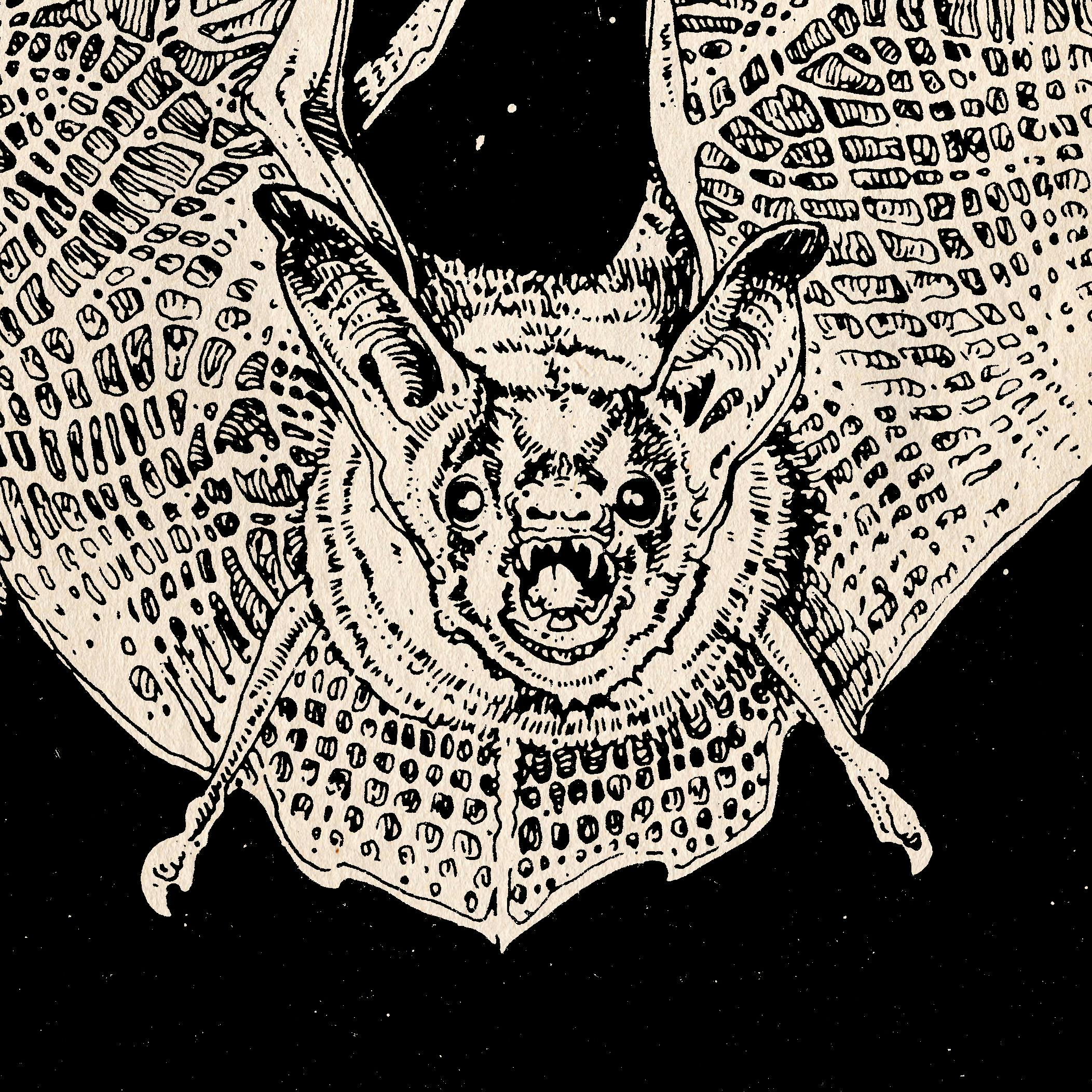 Giant Bat