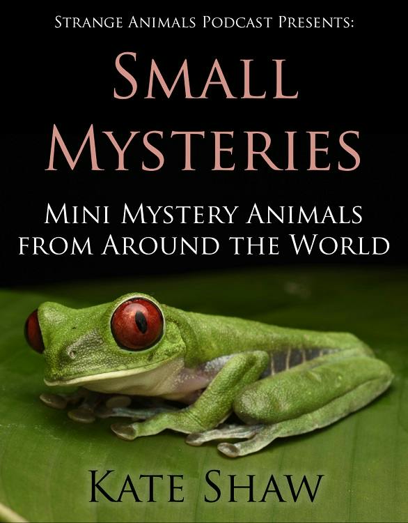 Small Mysteries ebook