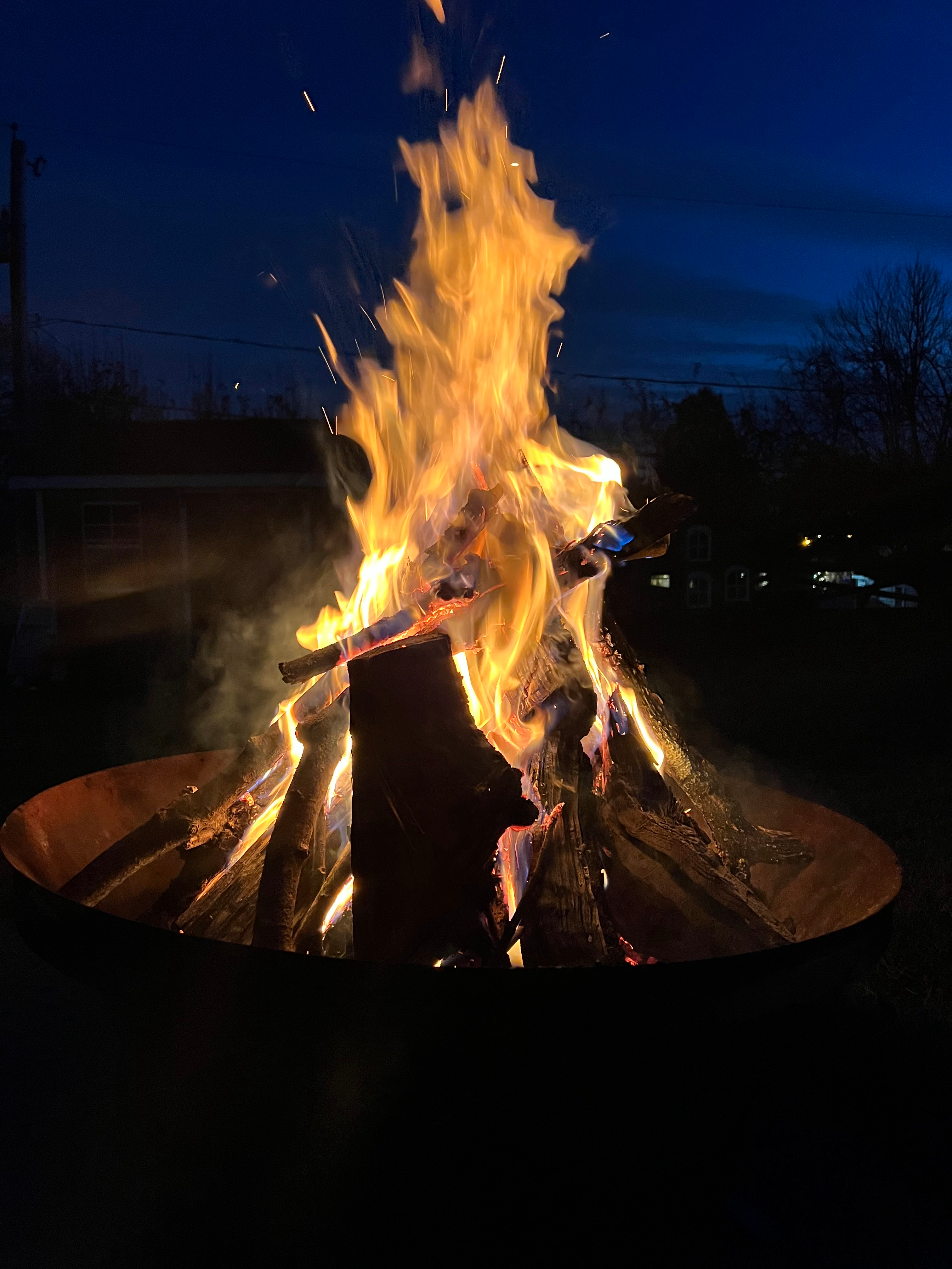 user avatar image for Manta