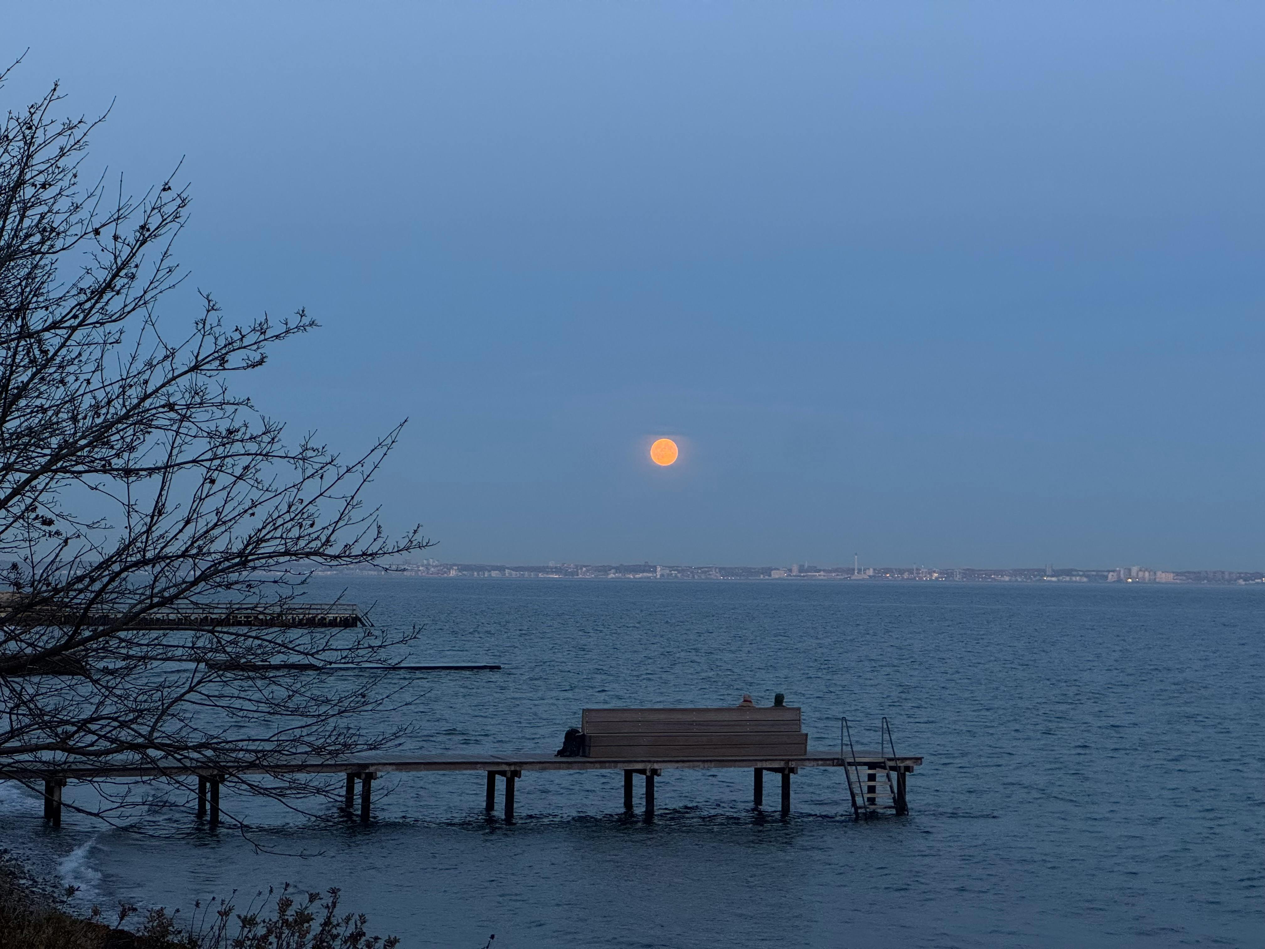 user avatar image for Paula