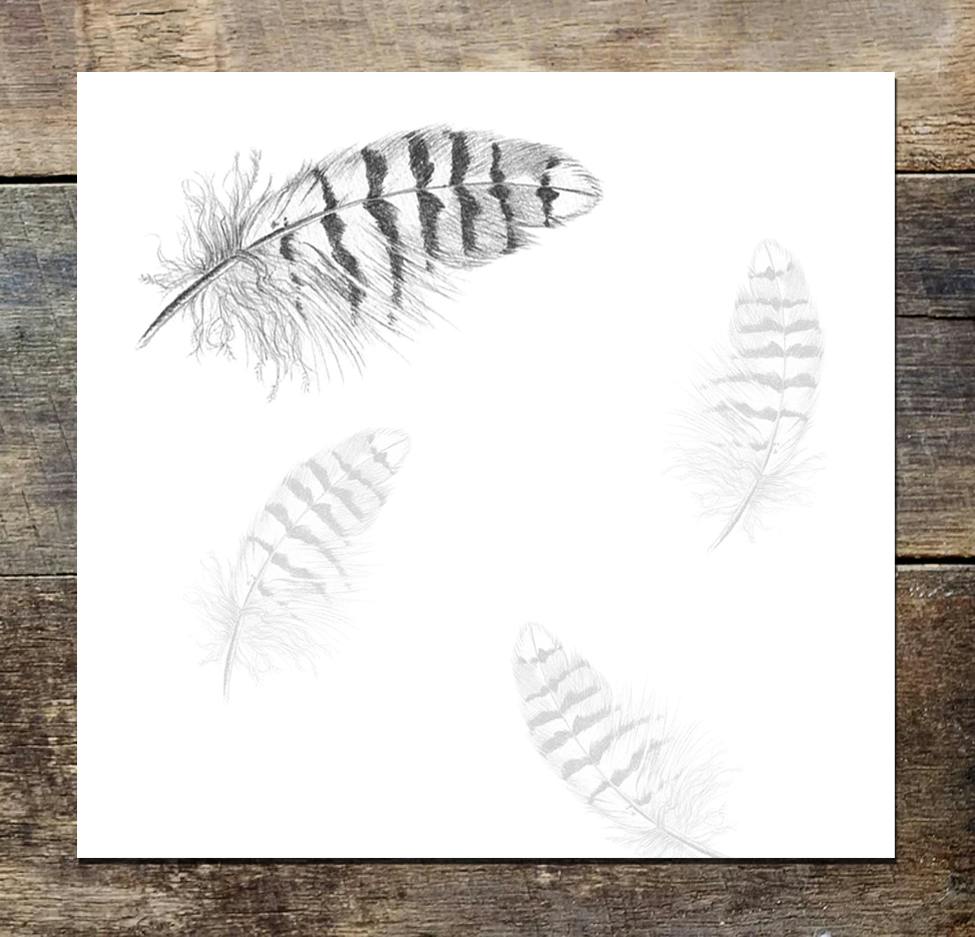 Feather Post-It Notes