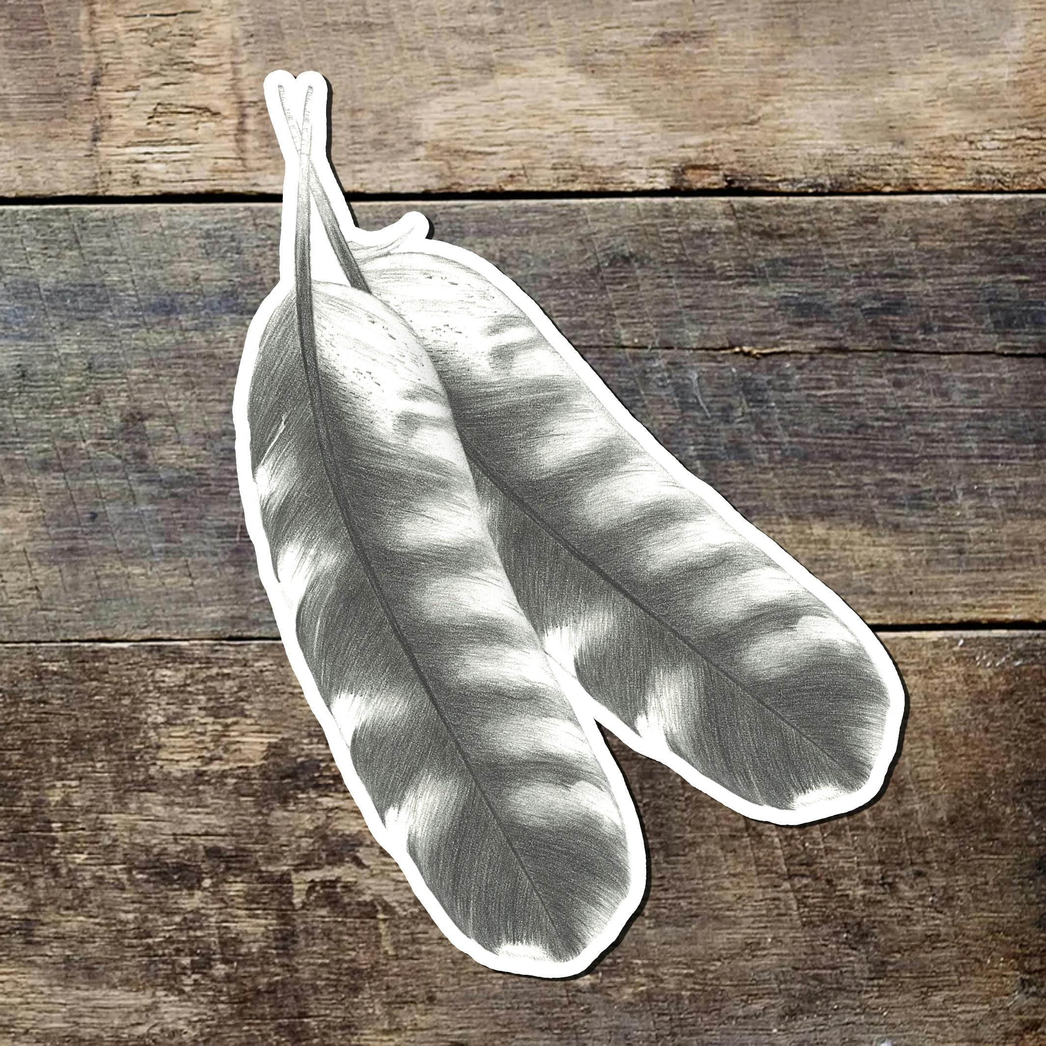 Hawk Feathers Sticker