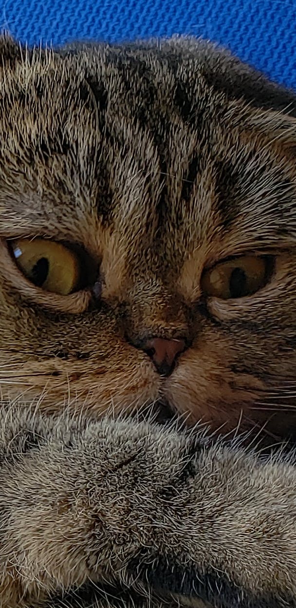 user avatar image for V. Harper