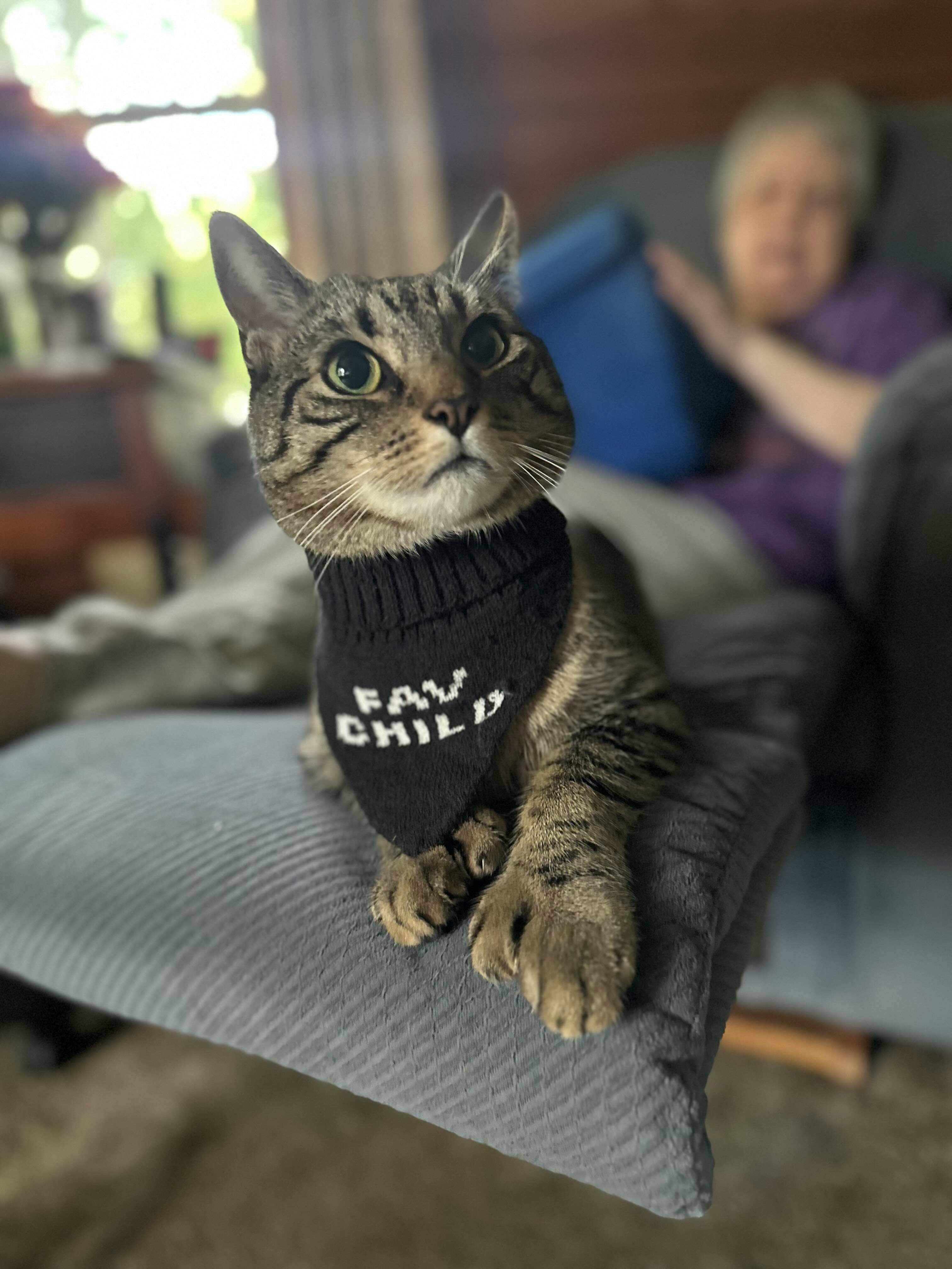 user avatar image for PeskyPixie0714