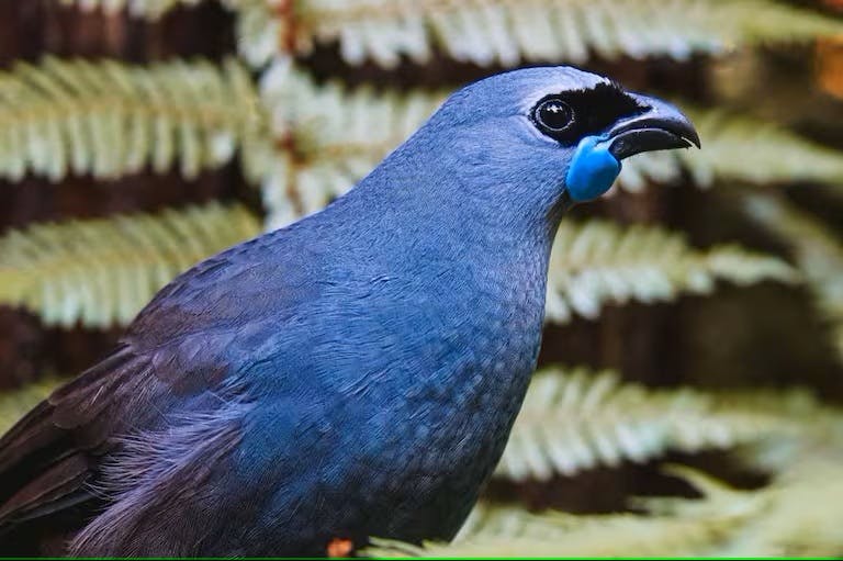 user avatar image for Paul Tracey