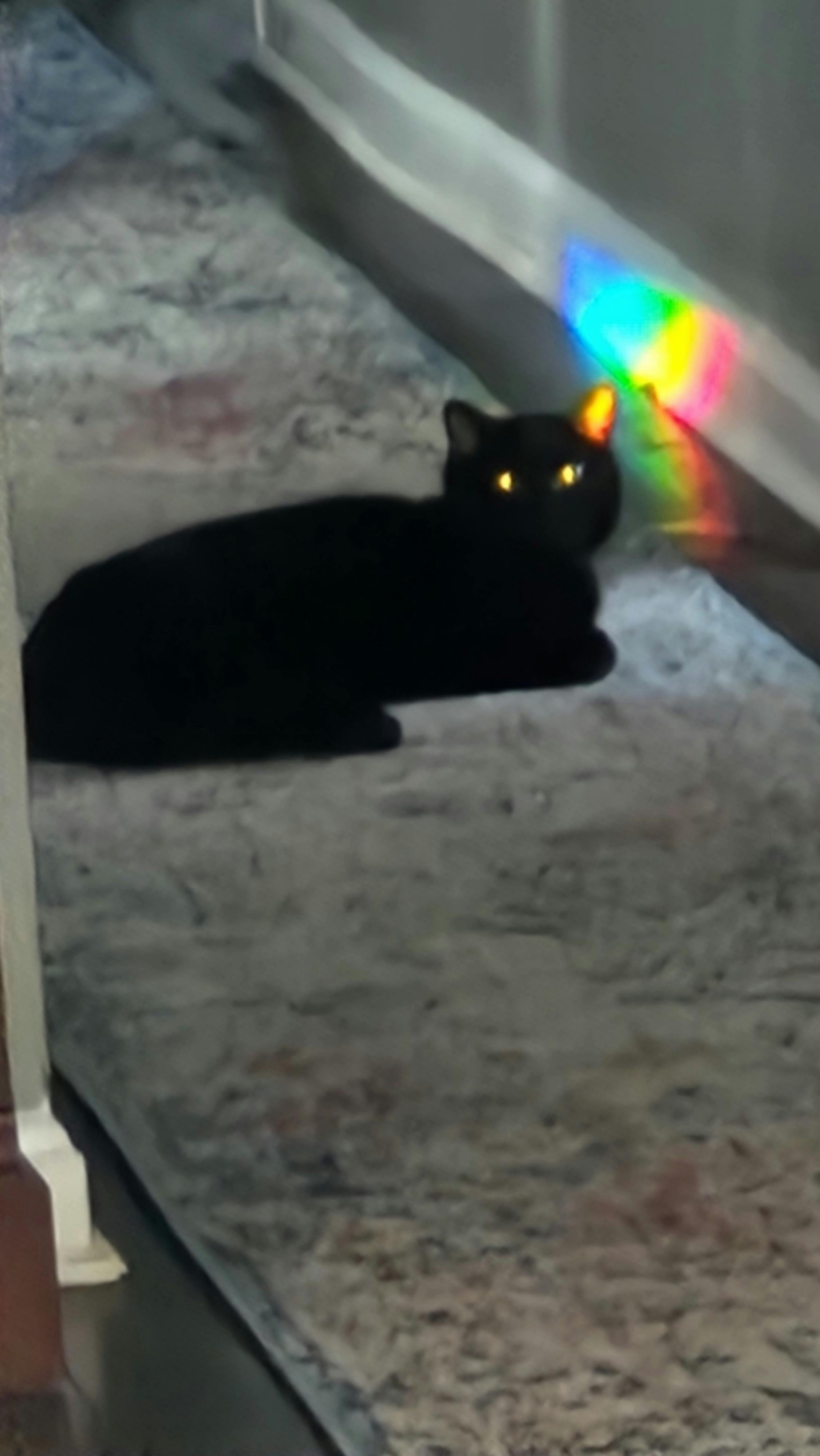 user avatar image for Jessica