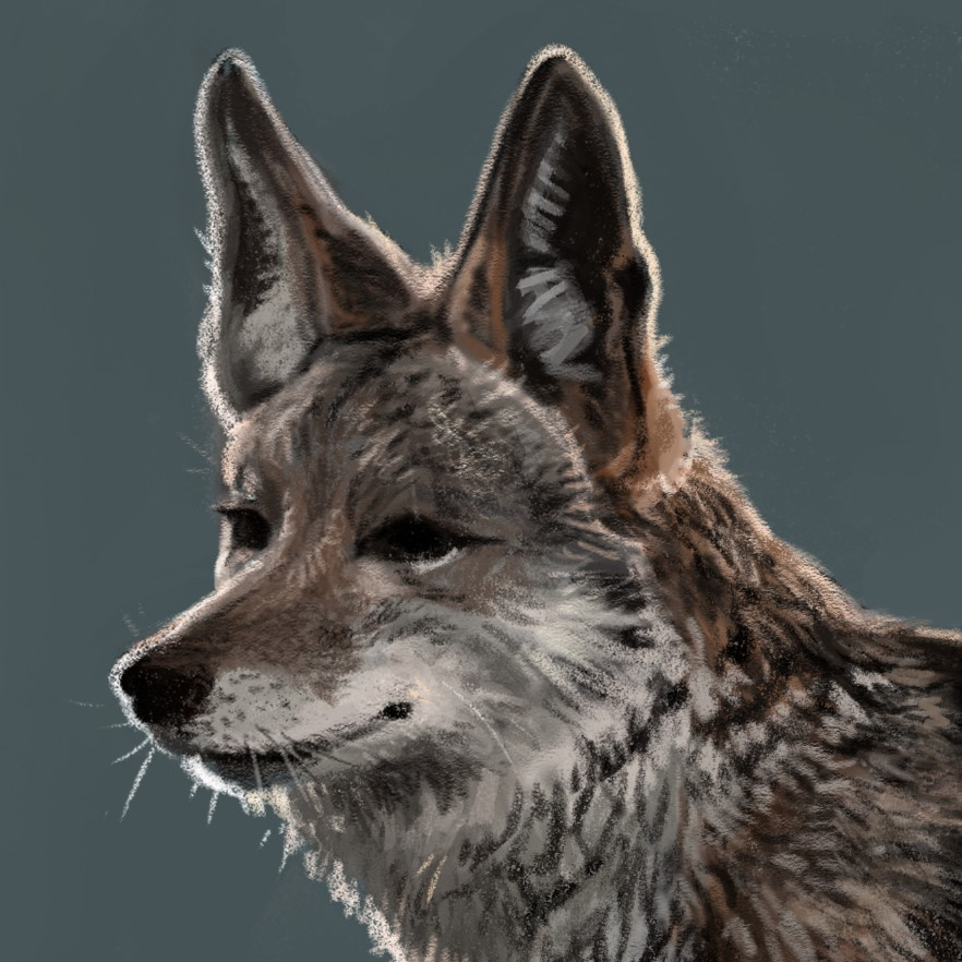 user avatar image for Bri