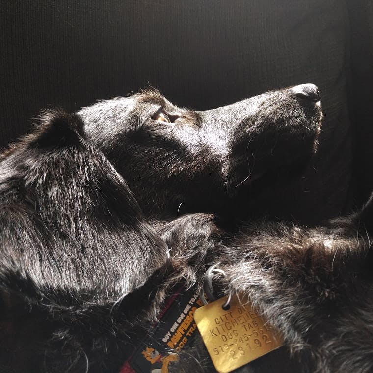 user avatar image for AnnieBee