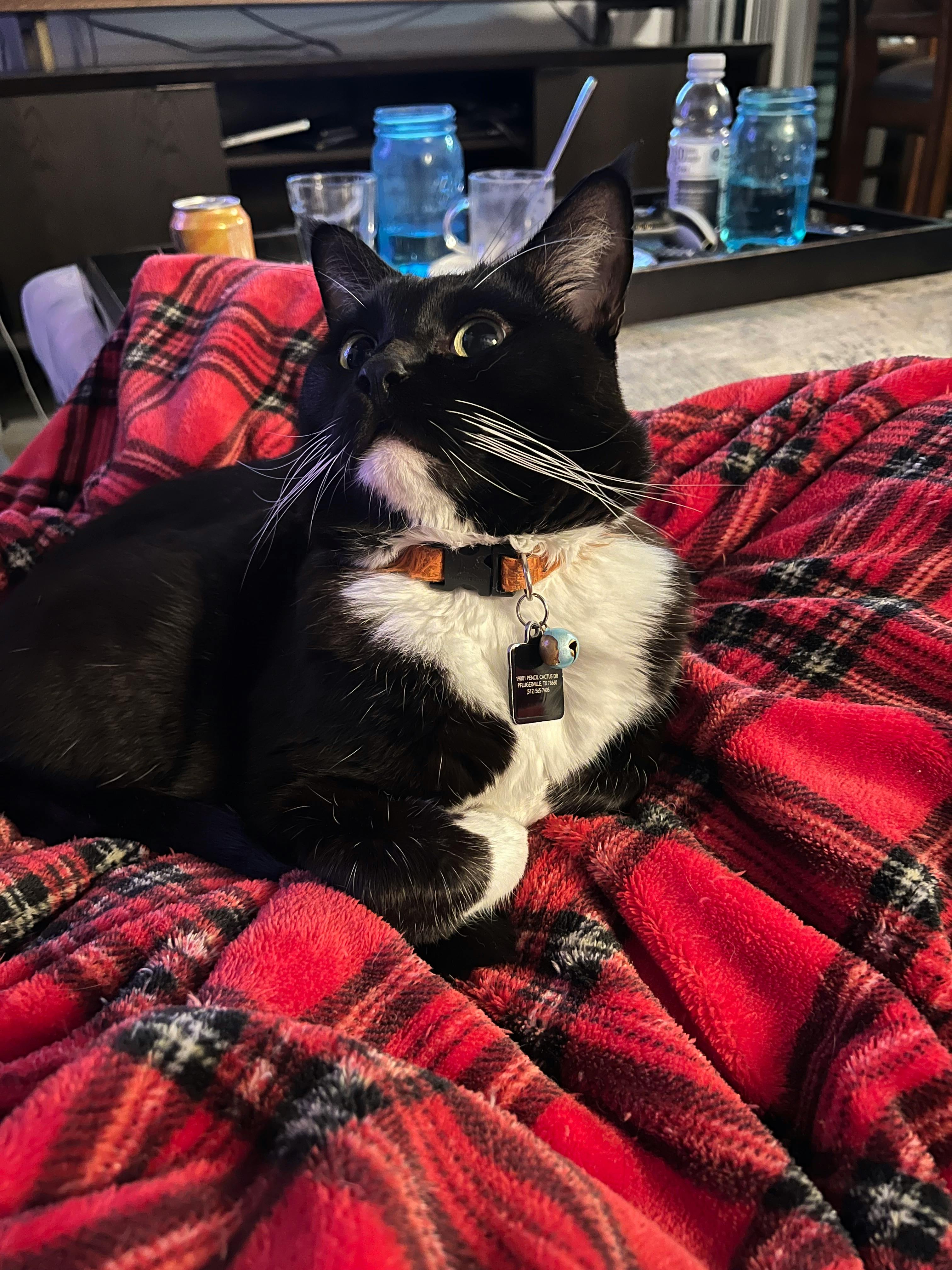 user avatar image for Brian Minnick