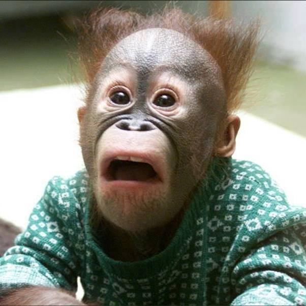 user avatar image for Wake