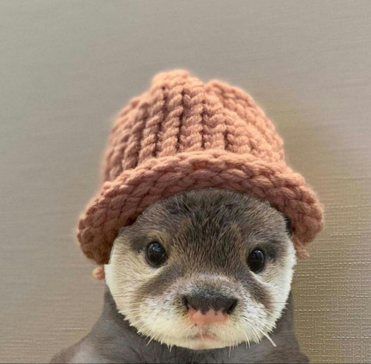 user avatar image for Matt Paxton