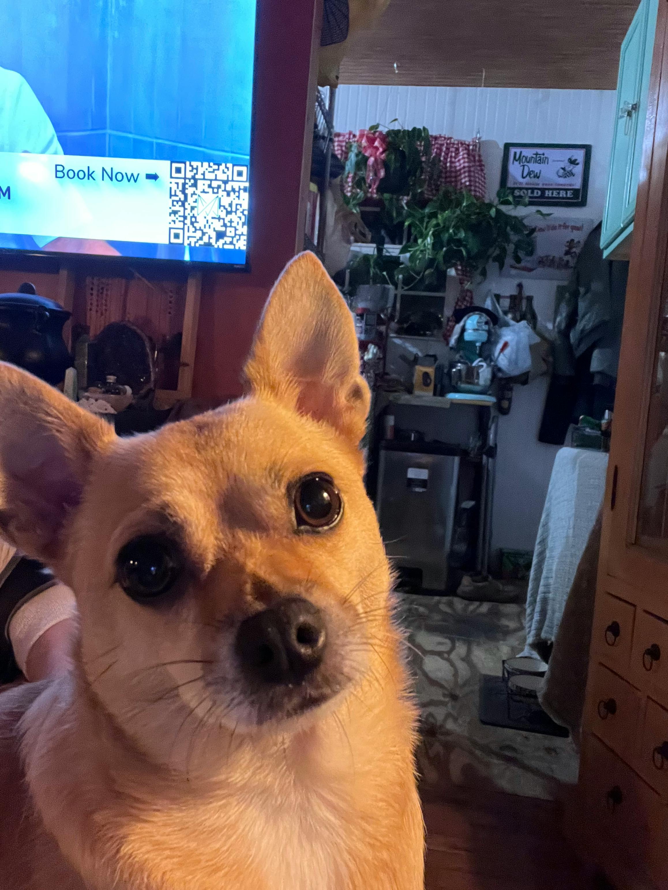 user avatar image for Betty Willcox