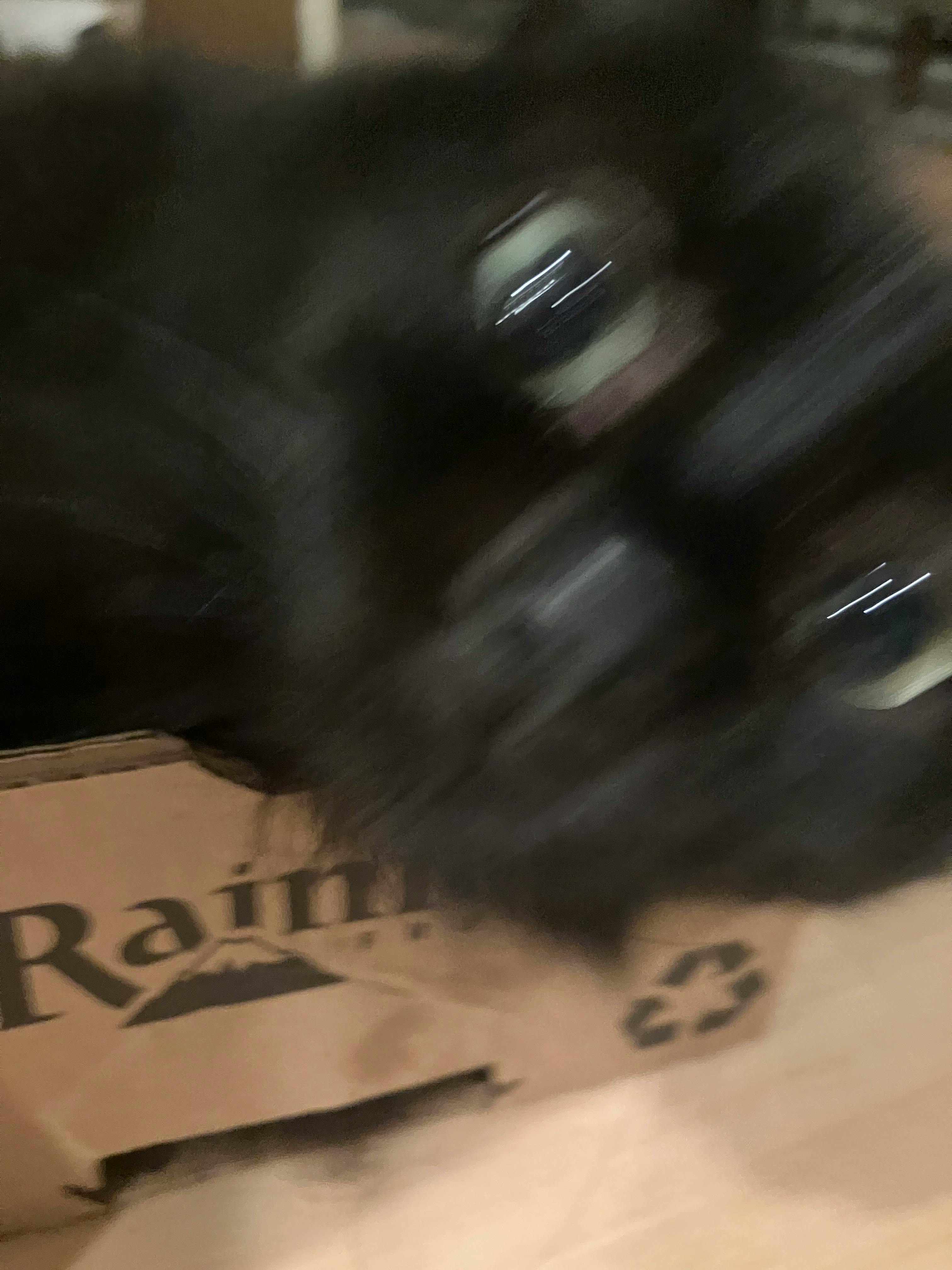 user avatar image for Zane