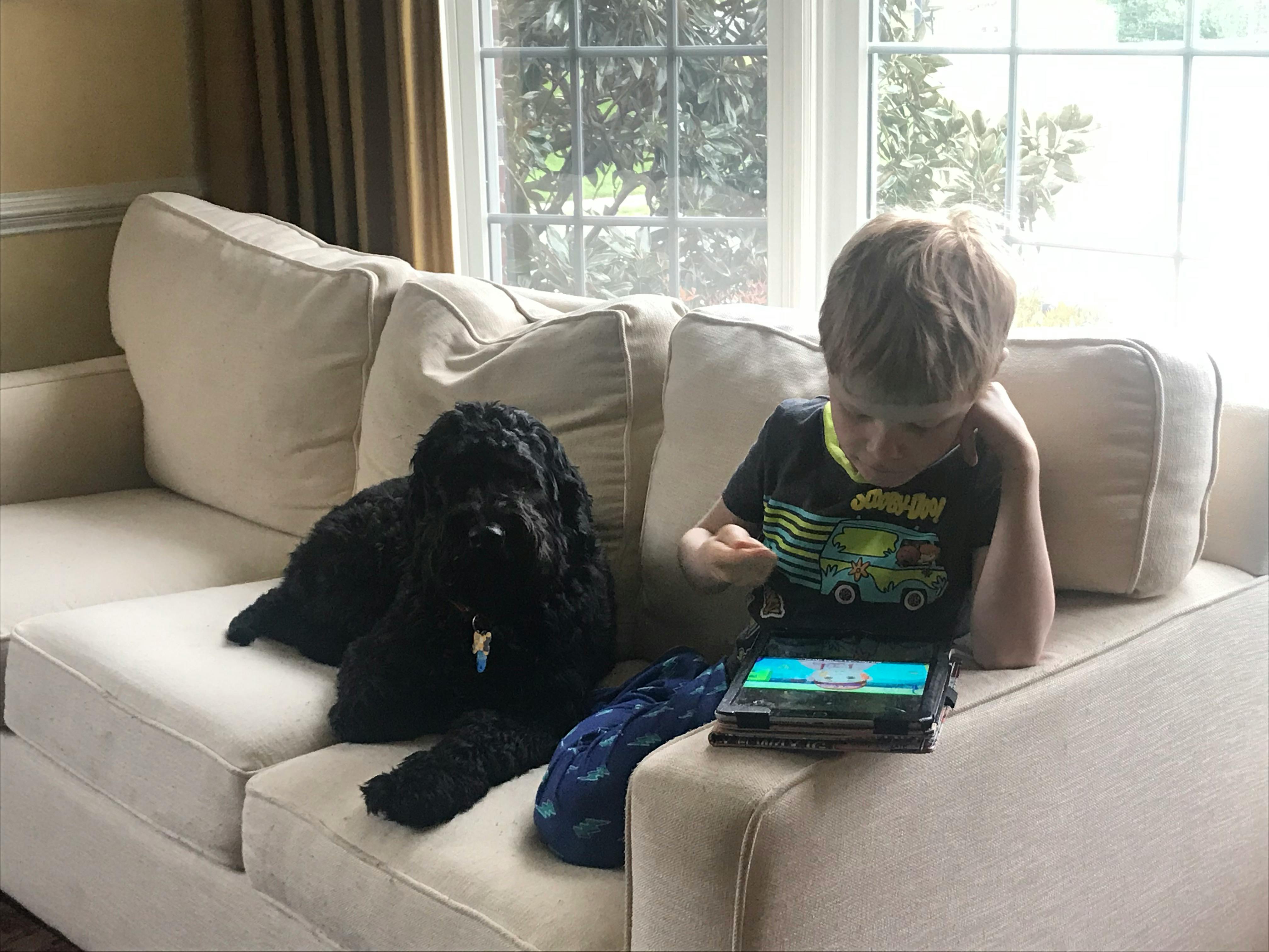 user avatar image for Jerry Reece