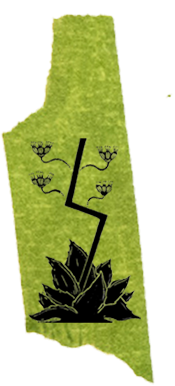 user avatar image for Nate Cramer